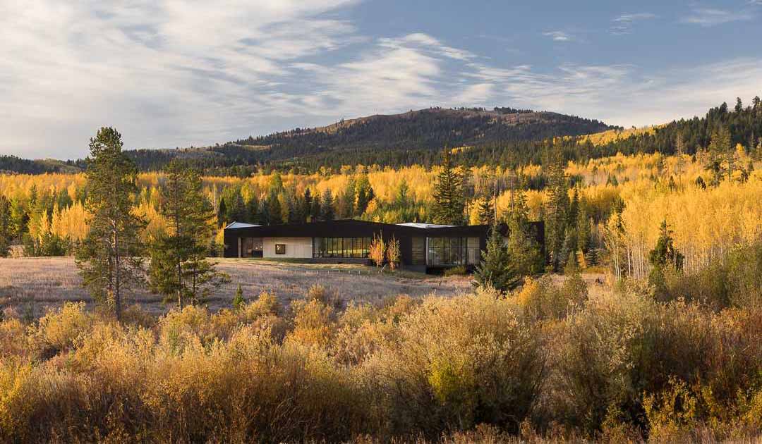 A Charred Wood Exterior Was Given To This Modern Home In The Forest