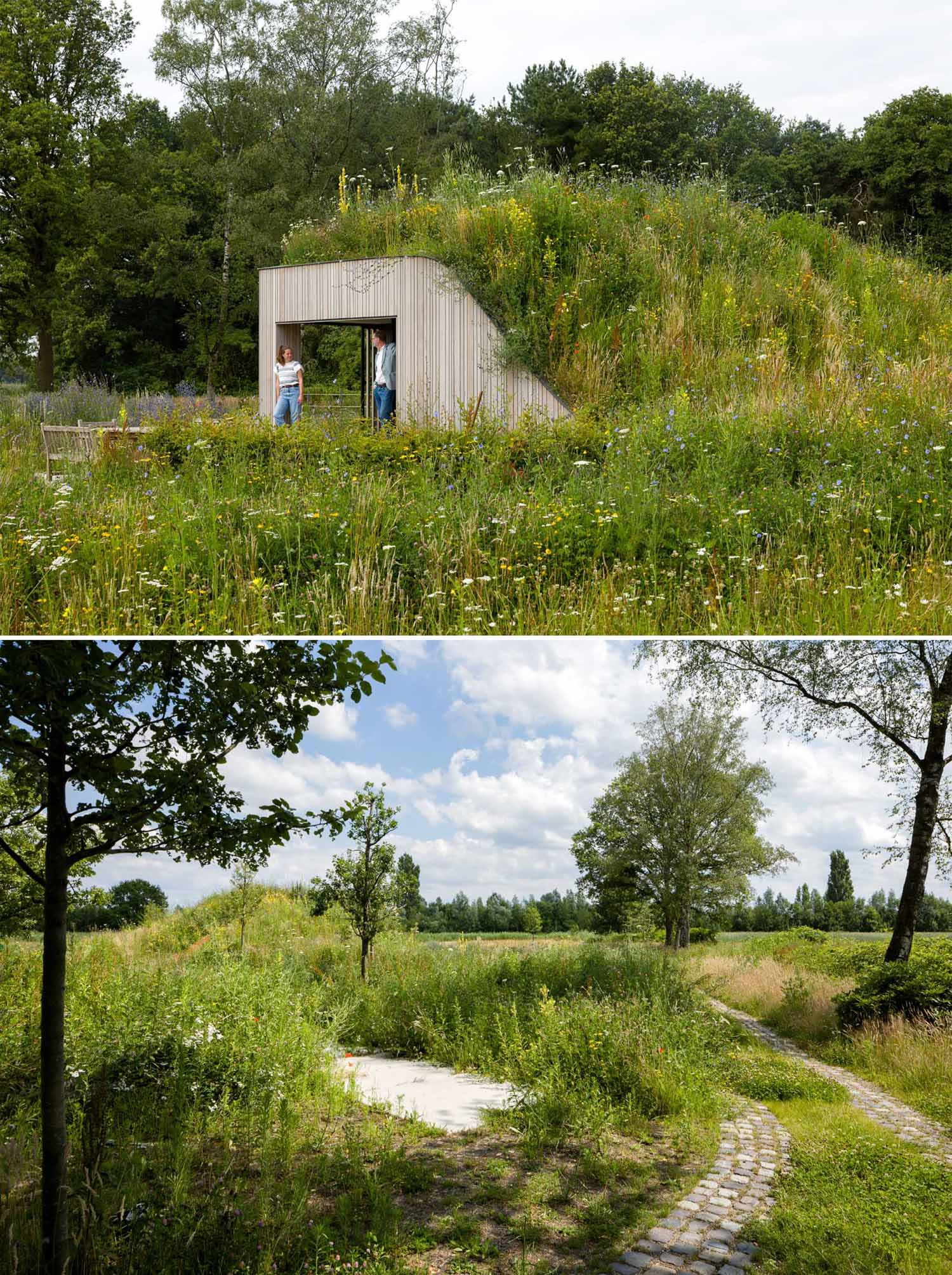 A modern house that's built into the ground and has a green roof, and multiple outdoor spaces.