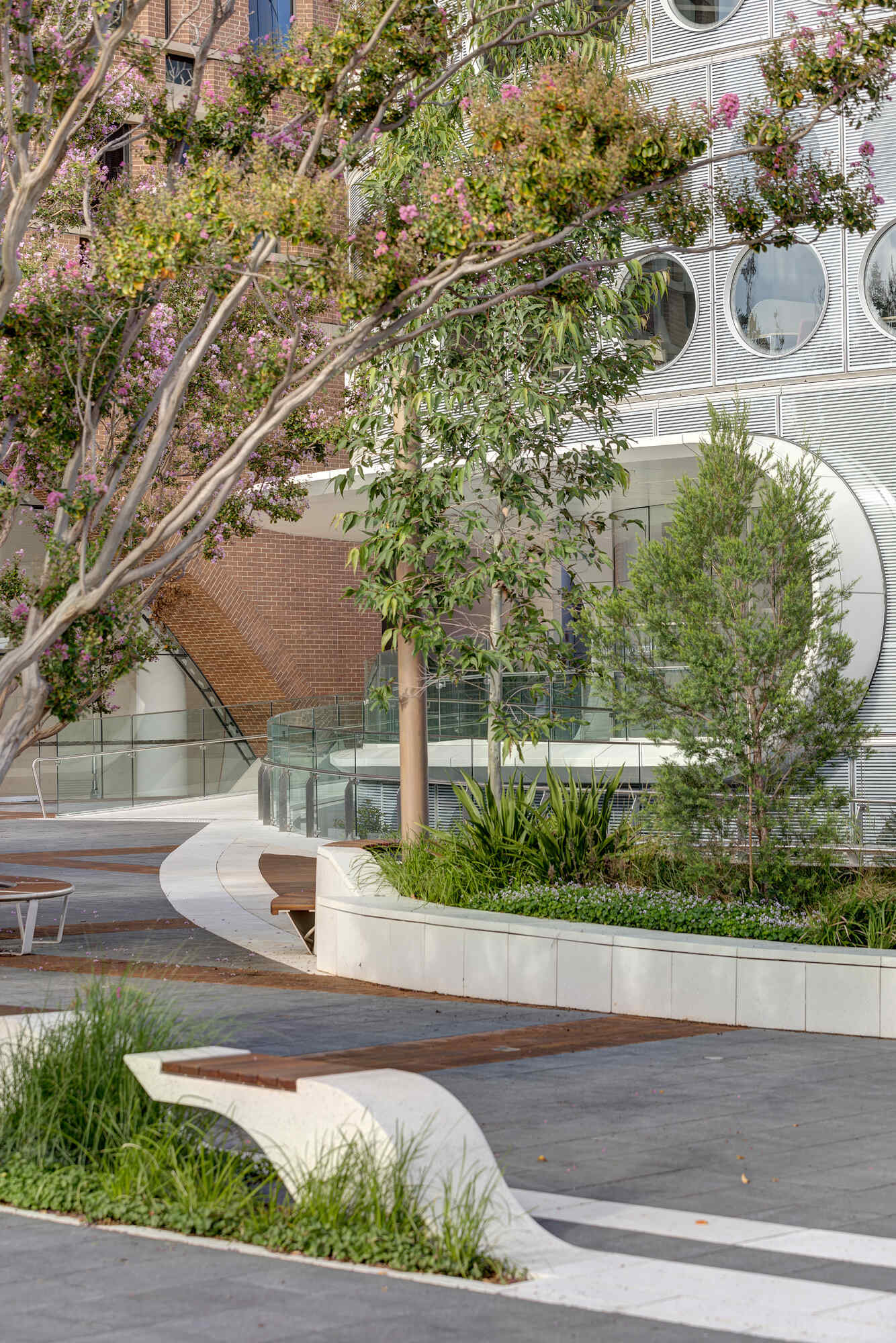 The timber-decked gathering garden is shaded by local eucalypts, has integrated seating, and a sunken courtyard that offers a space for small group settings.