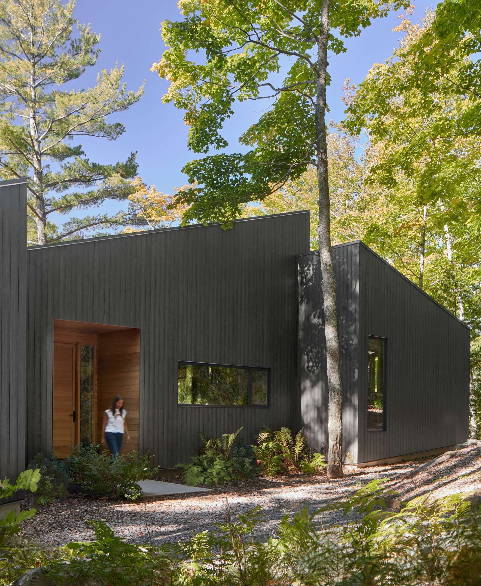 The entry porch of this modern cottage is carved out of the main volume and lined with warm red cedar, contrasting the darkened wood siding.