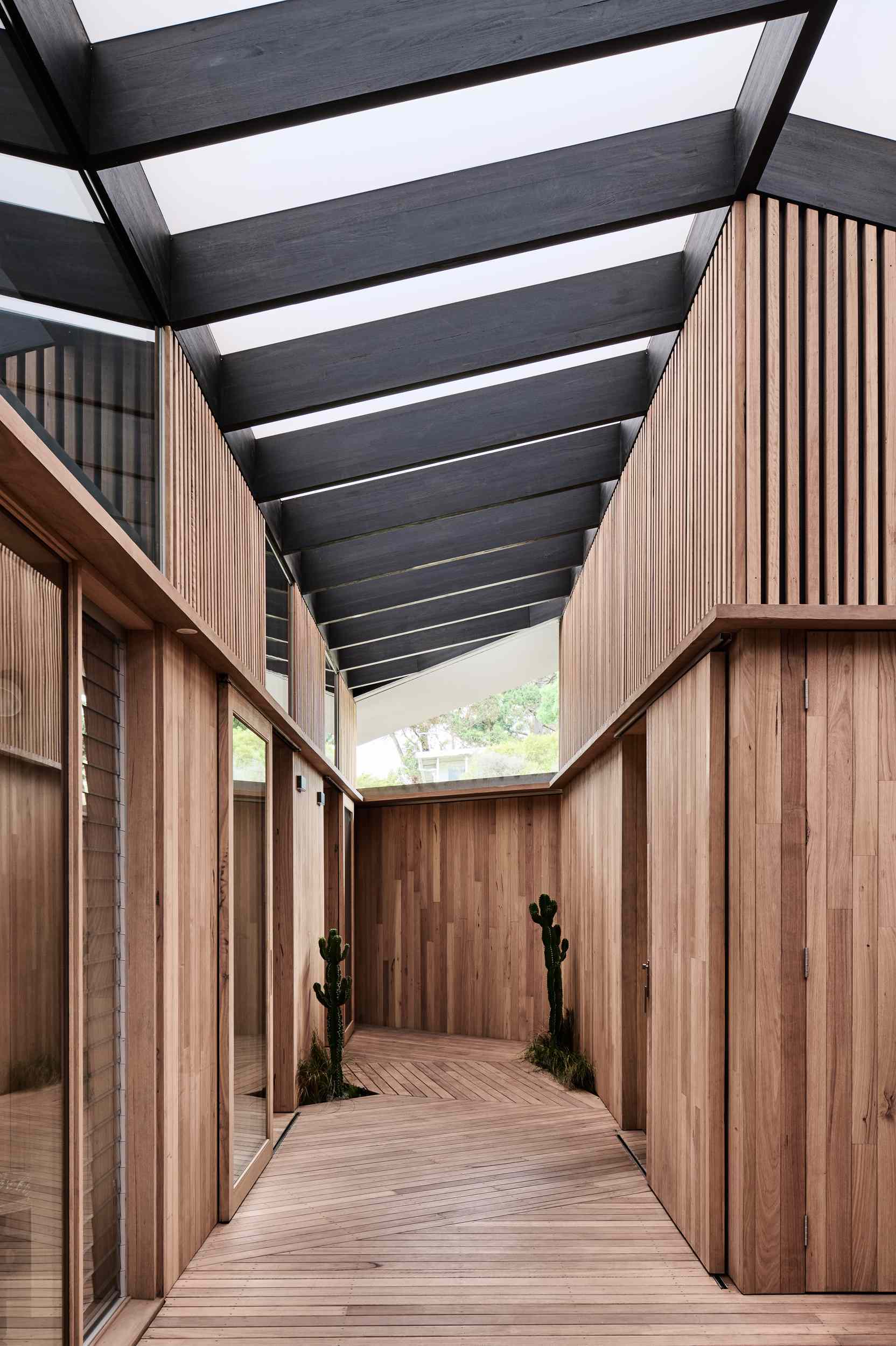 A timber-clad entryway sets the tone, with a boardwalk-style floor leading through softly filtered light from a translucent roof. Cacti in recessed pockets add sculptural interest, while the mix of slats, glass, and clean structural lines strikes a perfect balance between privacy and openness.