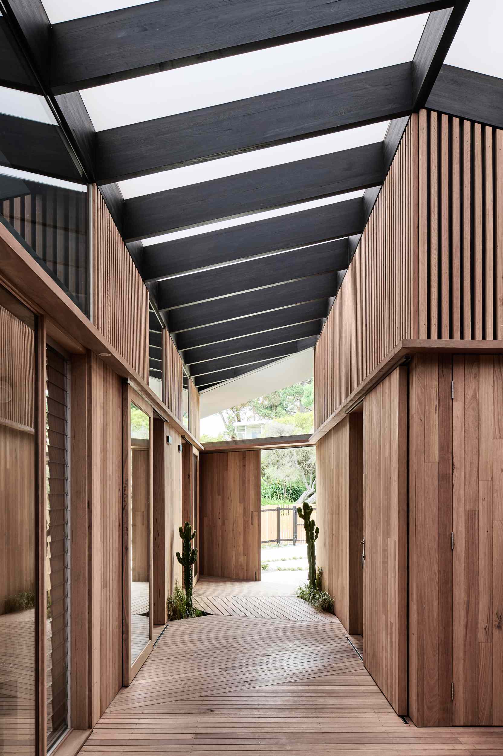 A timber-clad entryway sets the tone, with a boardwalk-style floor leading through softly filtered light from a translucent roof. Cacti in recessed pockets add sculptural interest, while the mix of slats, glass, and clean structural lines strikes a perfect balance between privacy and openness.