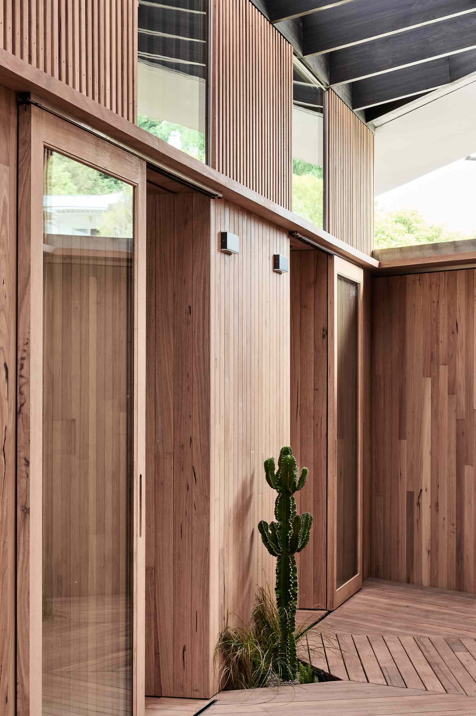 A timber-clad entryway sets the tone, with a boardwalk-style floor leading through softly filtered light from a translucent roof. Cacti in recessed pockets add sculptural interest, while the mix of slats, glass, and clean structural lines strikes a perfect balance between privacy and openness.