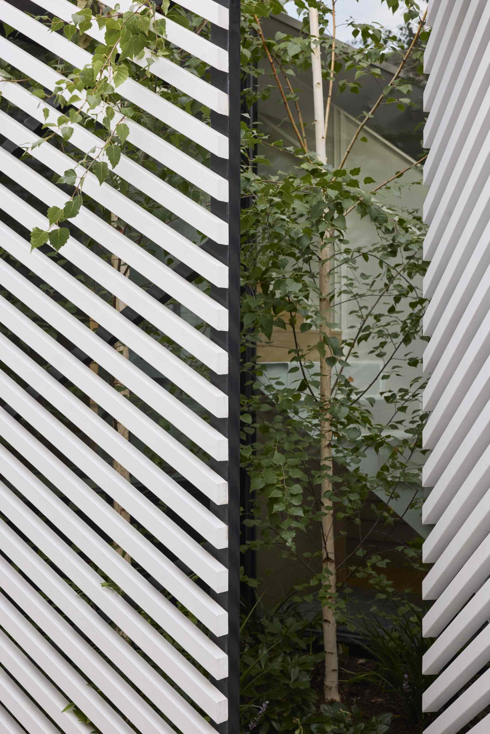A batten screen was used to unify the rear extension with the original home, bringing together the addition in a simple meeting of forms, while providing shade and protection, restricting overlooking, and creating a covered verandah.