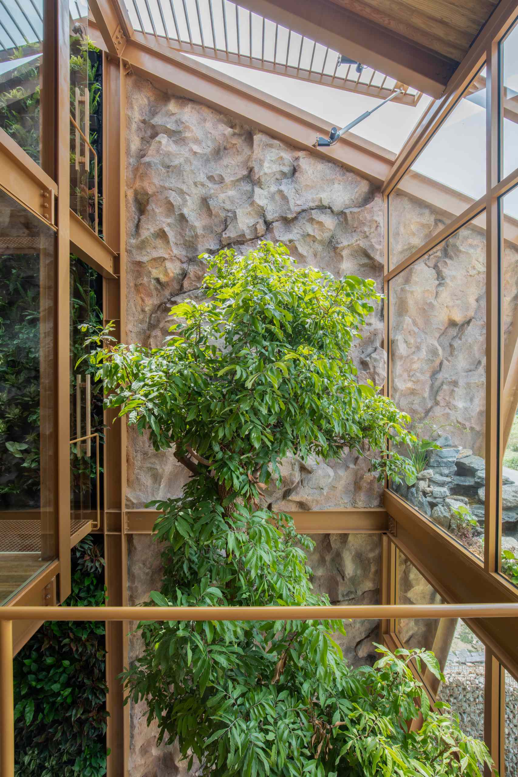 Trees rising from the ground floor are visible from every level of the home, creating a vertical connection to nature and a consistent visual anchor throughout the space.
