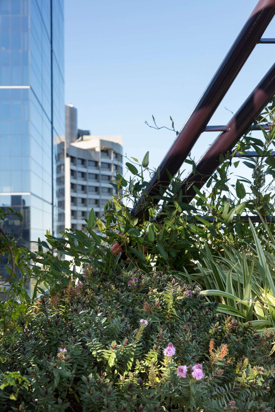 A Lush Rooftop Garden 30 Floors Above The City
