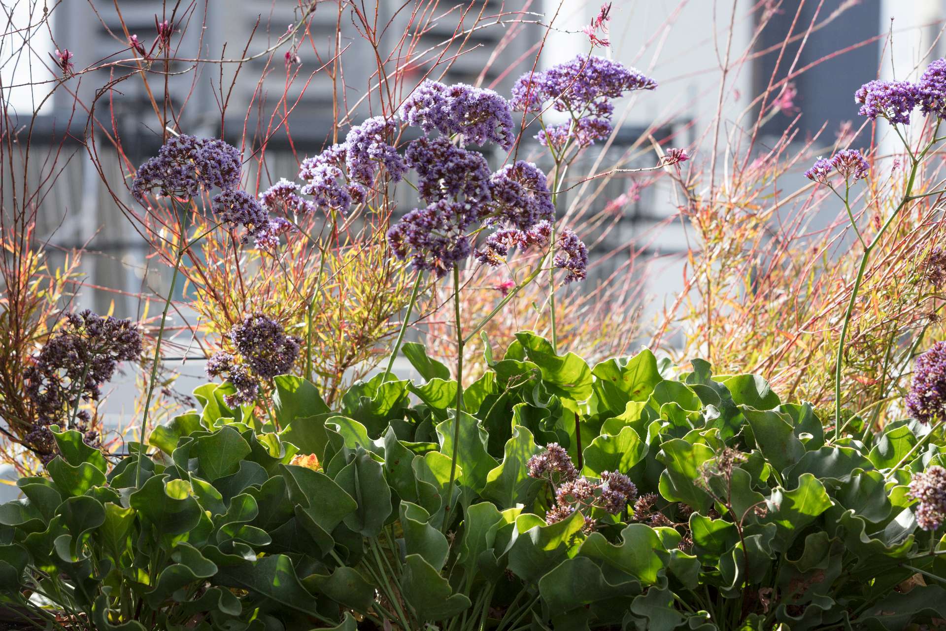 The garden reveals plants cascading over custom mosaic-tiled planters. The small-scale tiles in green, yellow, cream, and deep blue tones add texture and visual rhythm, contrasting with the soft, flowering greenery.