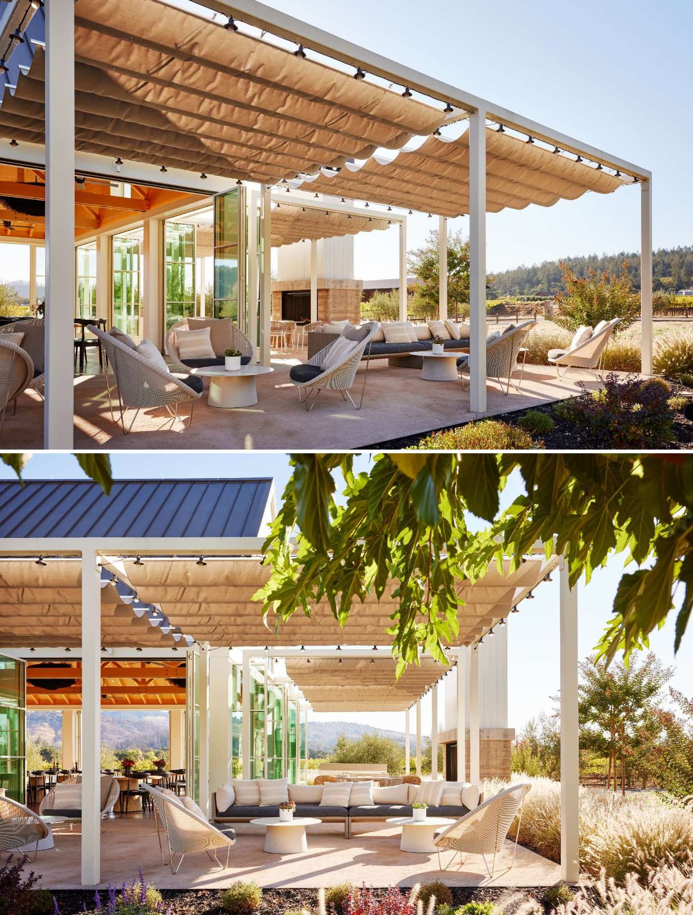 Pergolas define separate outdoor gathering zones, providing shade during sunny afternoons and visual structure across the open site.