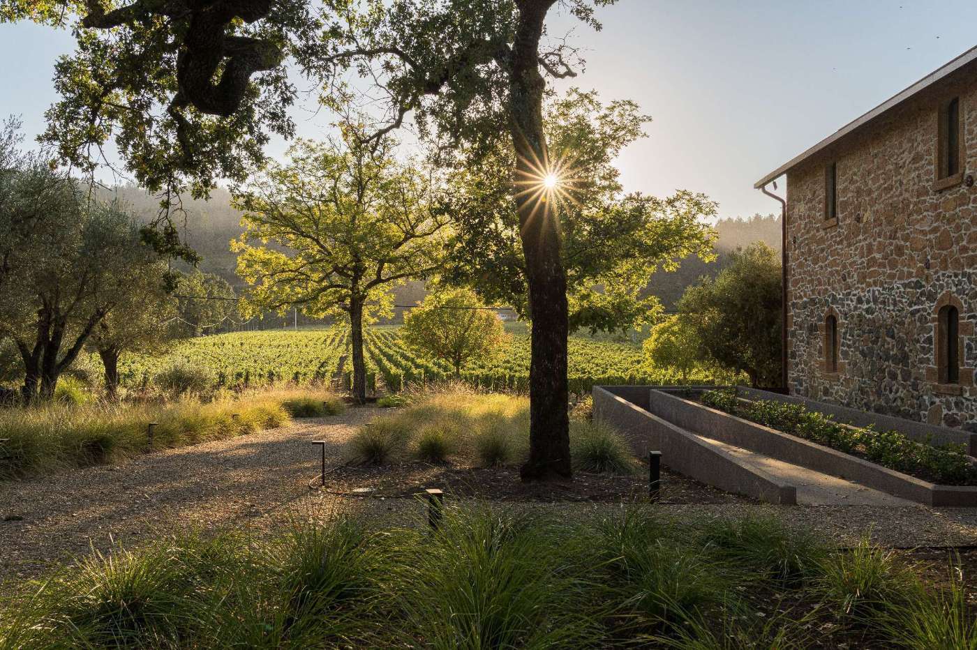 The landscaping that surrounds a Napa Valley tasting room.