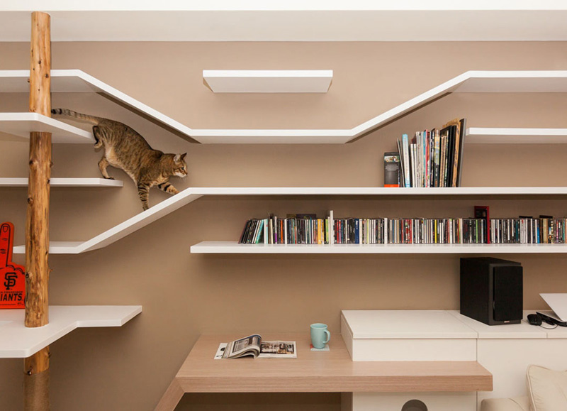 Explore a seamless catwalk built into a bookshelf, combining clever storage with elevated paths for cats to climb and explore. A wooden scratching post and discreet litter box complete this thoughtful design.
