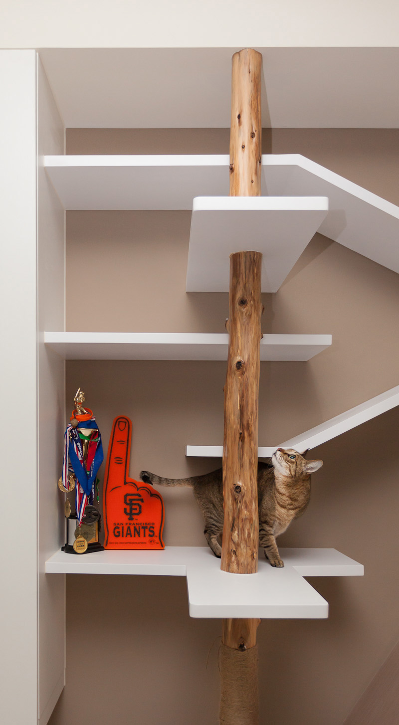 Explore a seamless catwalk built into a bookshelf, combining clever storage with elevated paths for cats to climb and explore. A wooden scratching post and discreet litter box complete this thoughtful design.