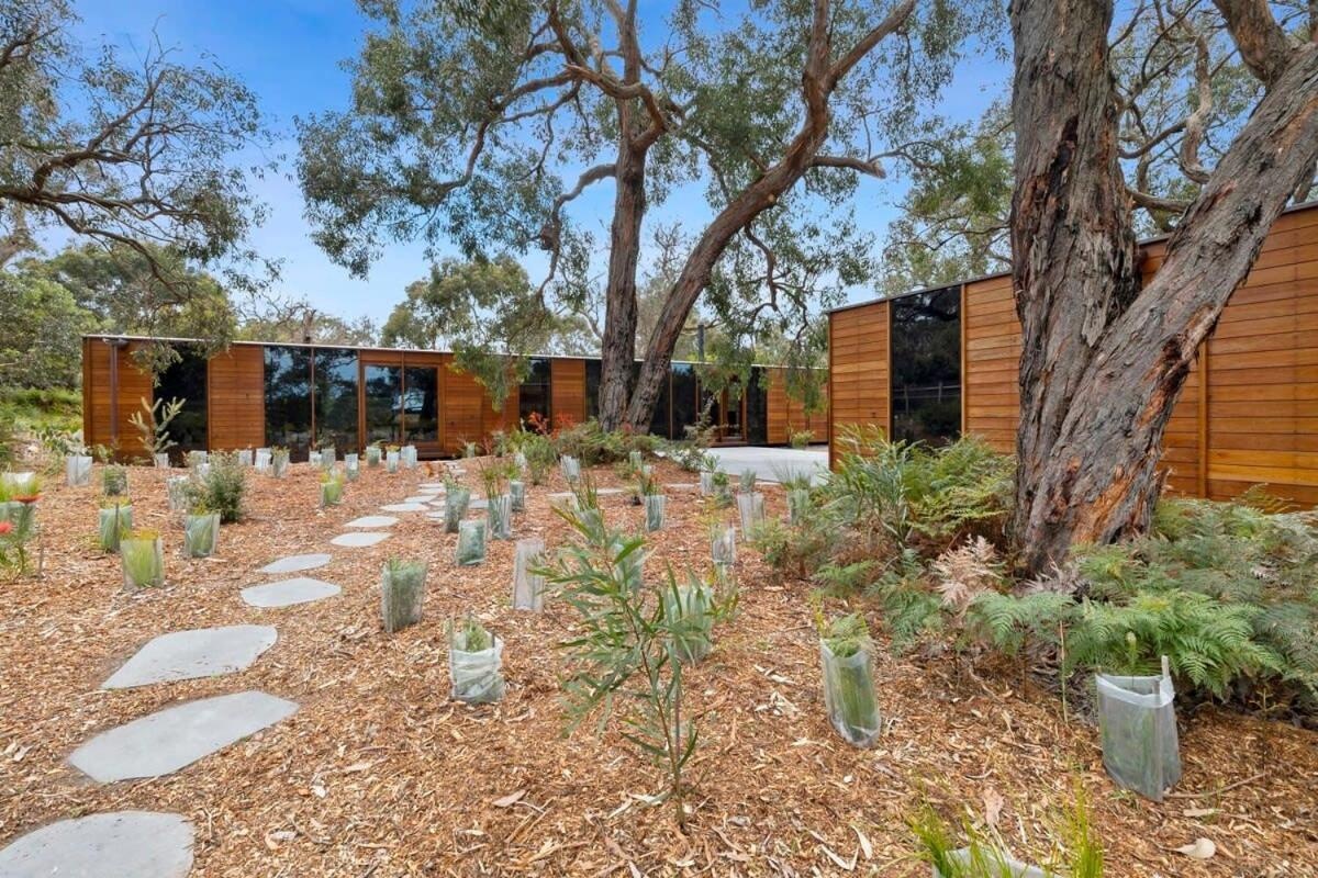 A recycled timber home and studio built with passive solar principles and reclaimed materials. It features two pavilions, full-height glazing, and a bluestone terrace set beneath native trees.