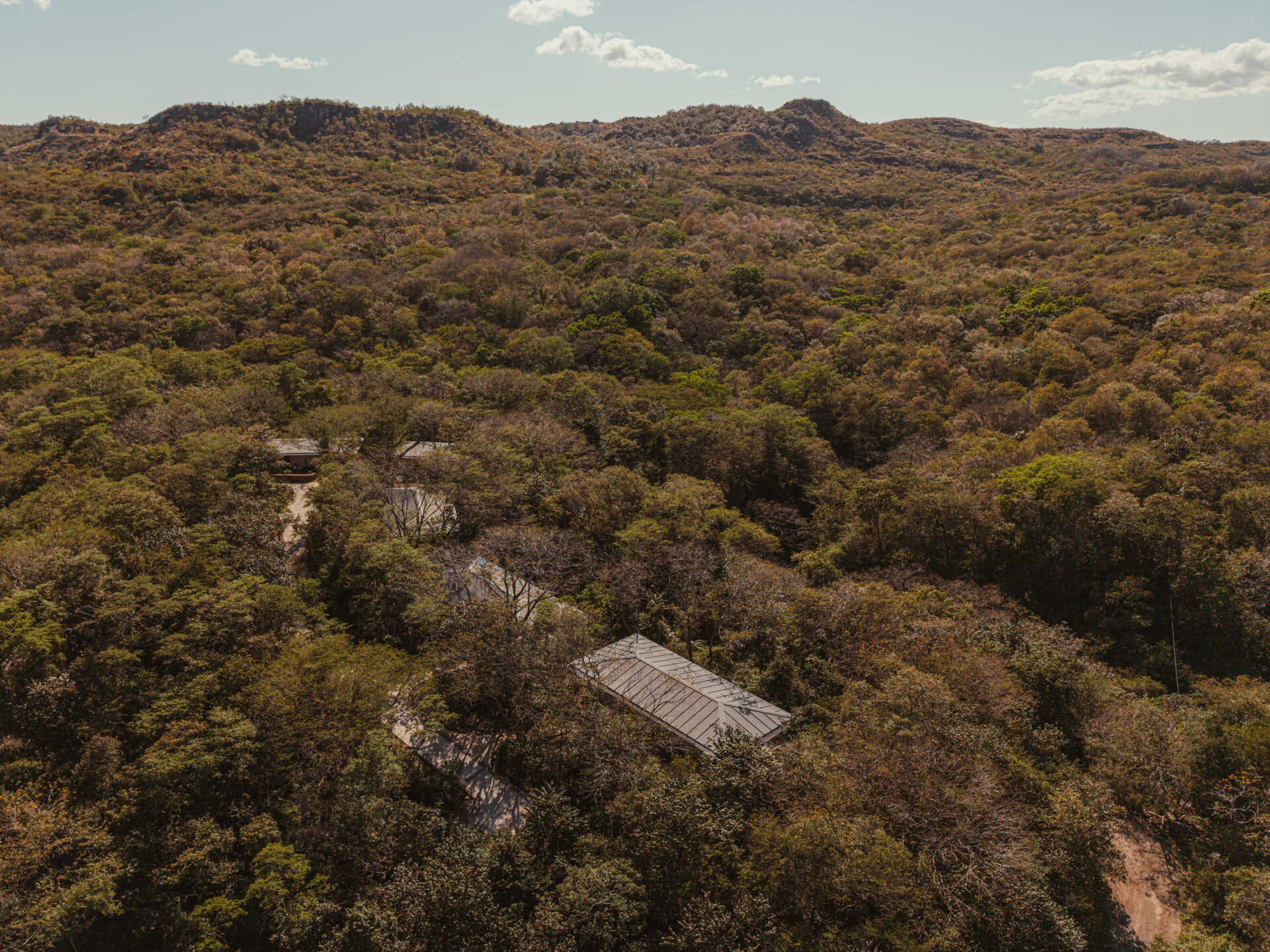 A collection of jungle bungalows in Costa Rica blends effortlessly into its forest surroundings.