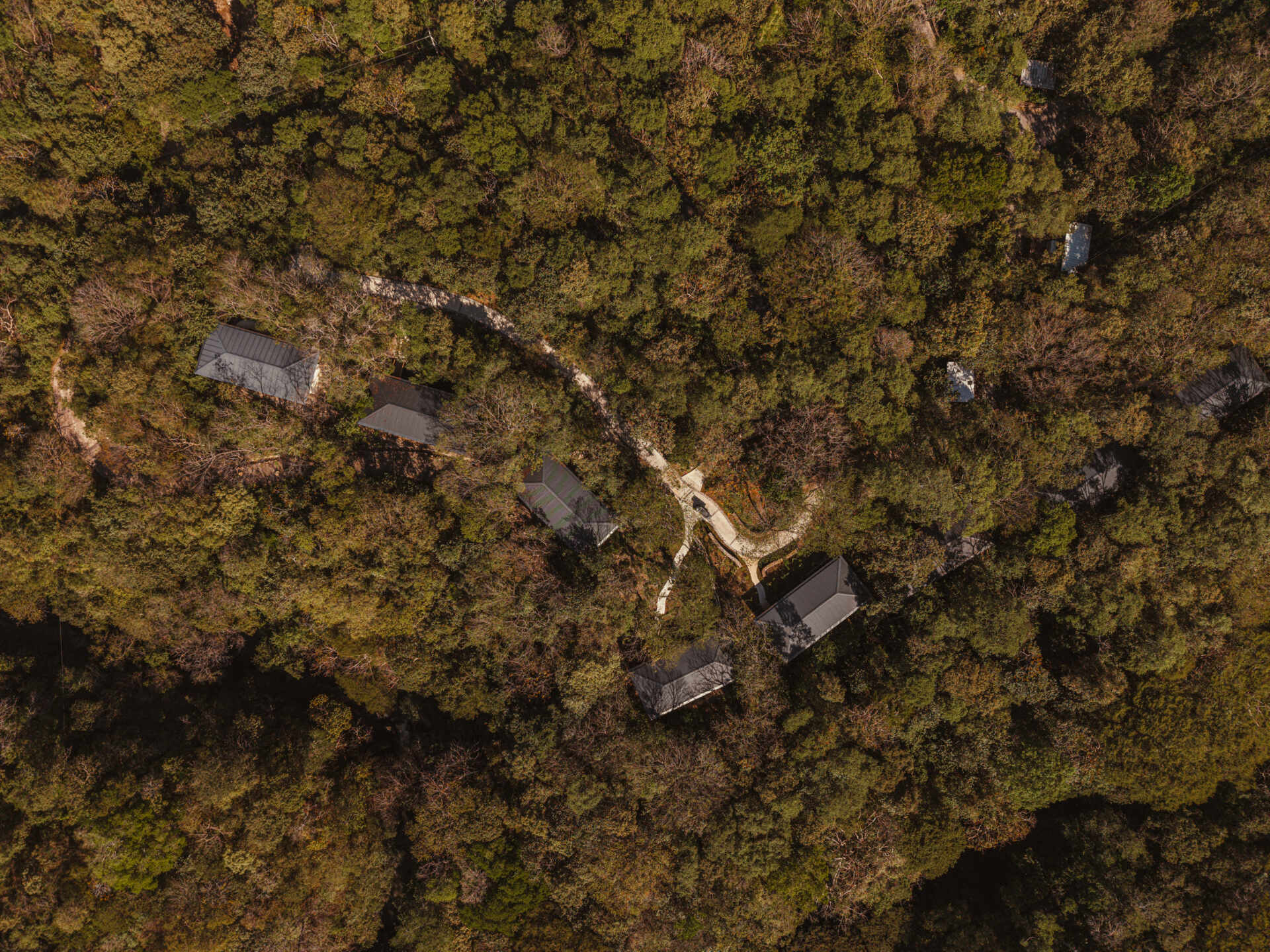 A collection of jungle bungalows in Costa Rica blends effortlessly into its forest surroundings.