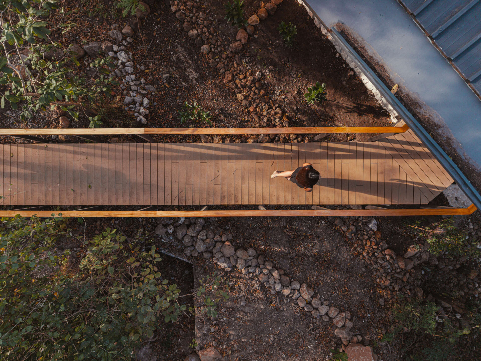 A raised walkway leading to a stone bungalow nestled in the Costa Rican forest. Elevated on slender pilotis, the structure floats above the ground, blending tropical modern design with lush, natural surroundings.