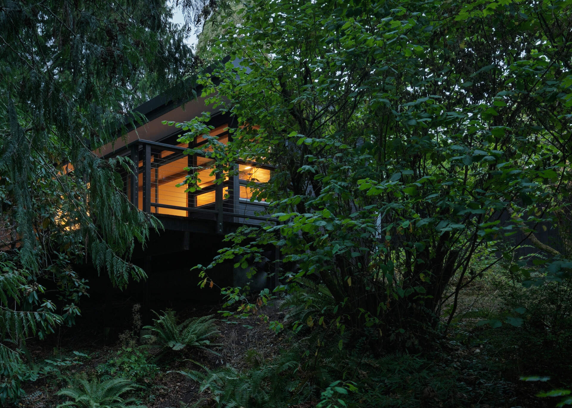 Tucked beside a creek in the Seattle woods, this Mid-Century Modern home feels like a private treehouse. The forest path to the front door sets the tone for a peaceful, nature-connected retreat.