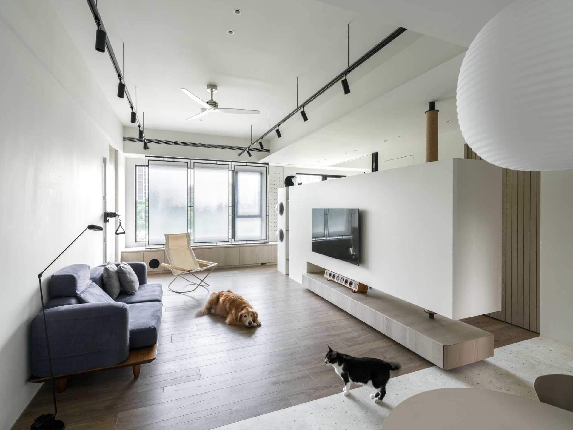 See how vertical cat trees, elevated walkways, and bubble windows create a harmonious home for cats and dogs alike. Durable materials and hidden retreats make this Taiwan apartment a pet-friendly dream.