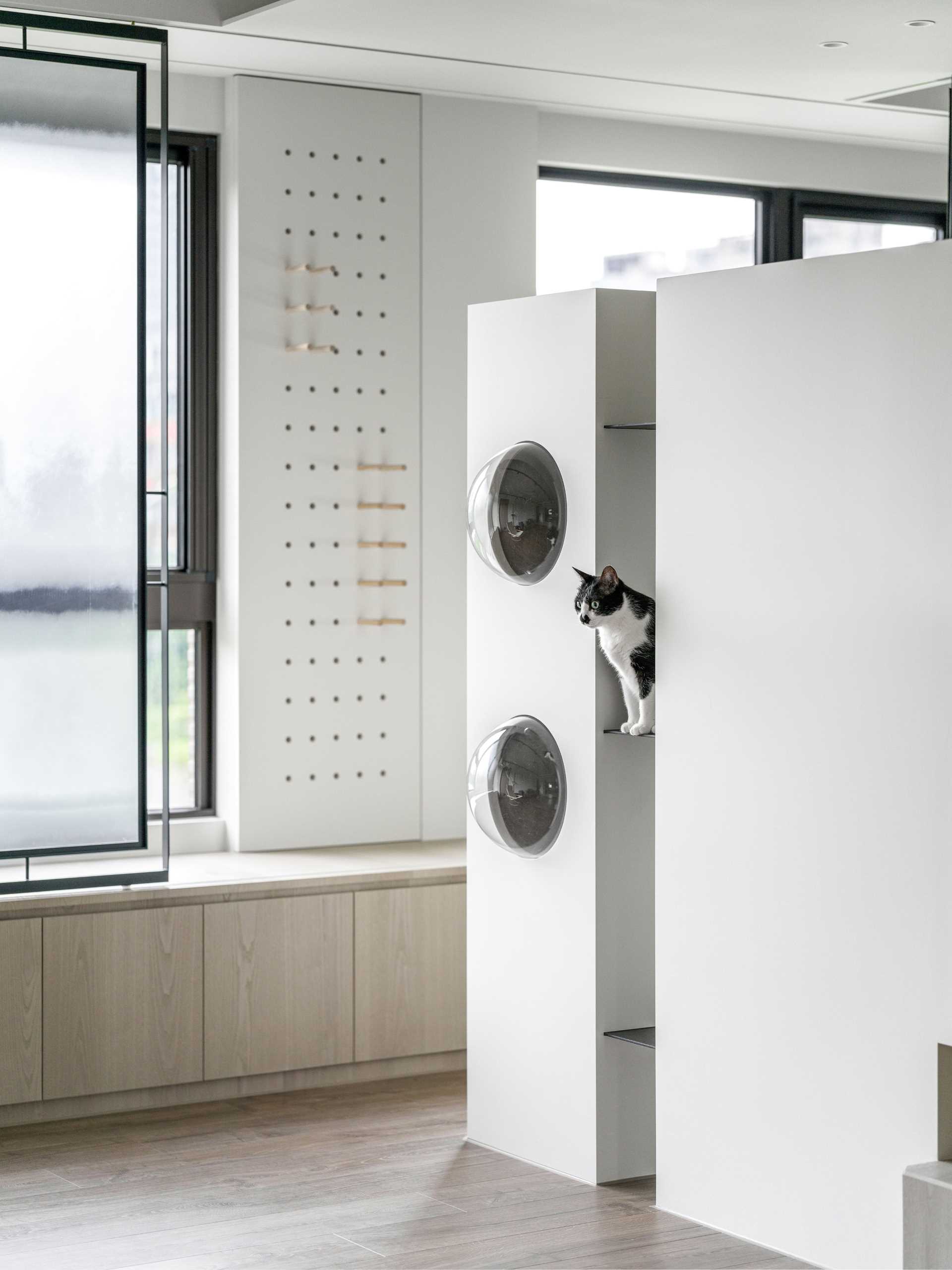 See how vertical cat trees, elevated walkways, and bubble windows create a harmonious home for cats and dogs alike. Durable materials and hidden retreats make this Taiwan apartment a pet-friendly dream.
