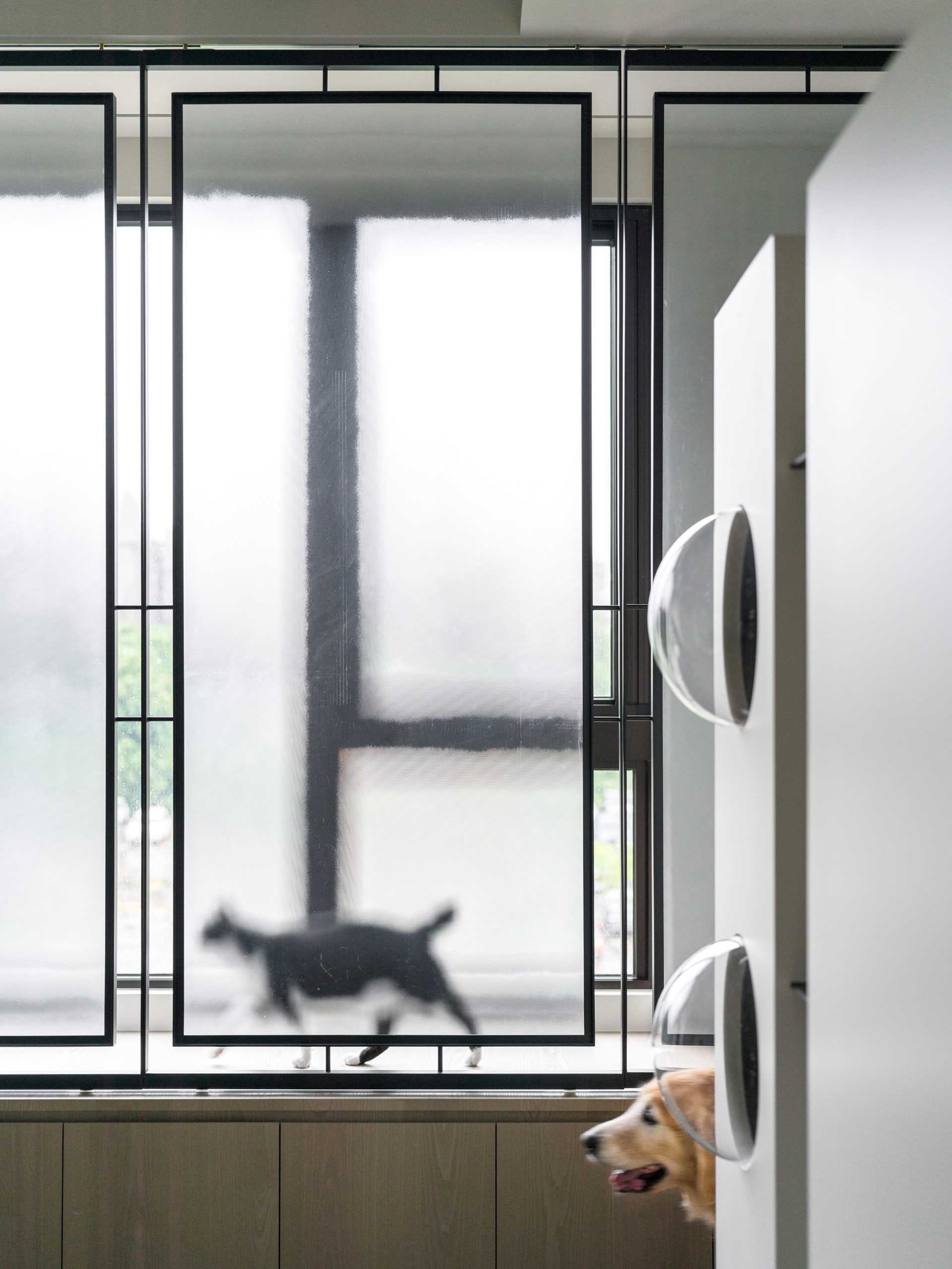 See how vertical cat trees, elevated walkways, and bubble windows create a harmonious home for cats and dogs alike. Durable materials and hidden retreats make this Taiwan apartment a pet-friendly dream.