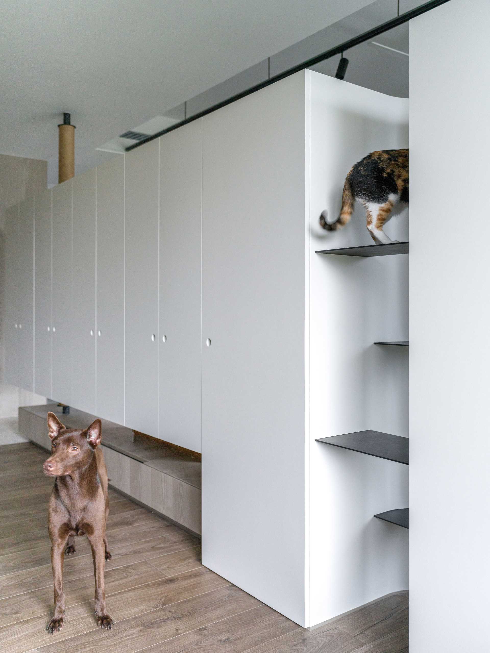 See how vertical cat trees, elevated walkways, and bubble windows create a harmonious home for cats and dogs alike. Durable materials and hidden retreats make this Taiwan apartment a pet-friendly dream.