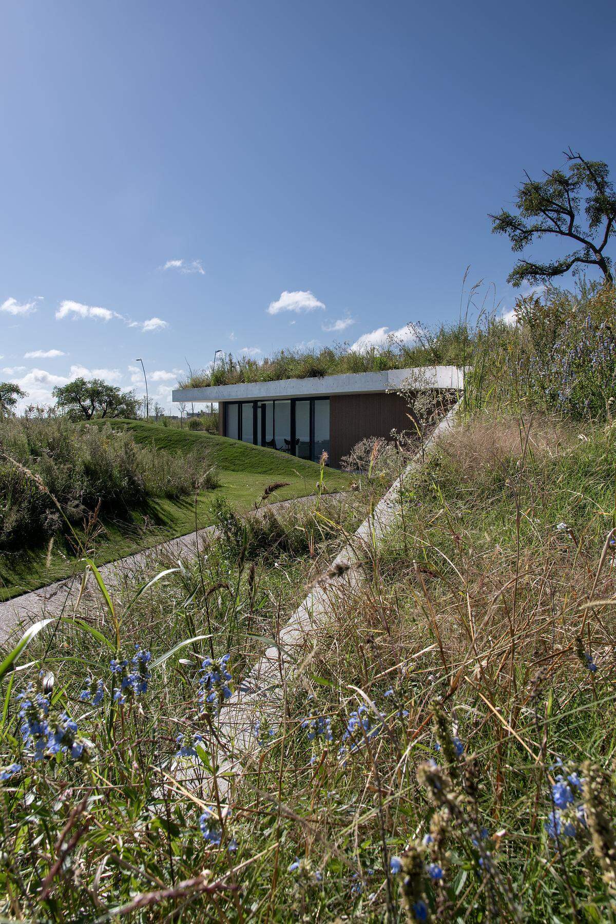 This clubhouse green roof is made up of native plantings that root the building in its context. The plant palette is hardy and low-maintenance, selected to thrive in the region’s climate while offering seasonal variety. As the vegetation matures, the line between roof and garden becomes even blurrier, reinforcing the project's low-impact, land-first philosophy. Where most roofs are treated as leftovers, this one is the centerpiece, a living surface that invites engagement from every angle.