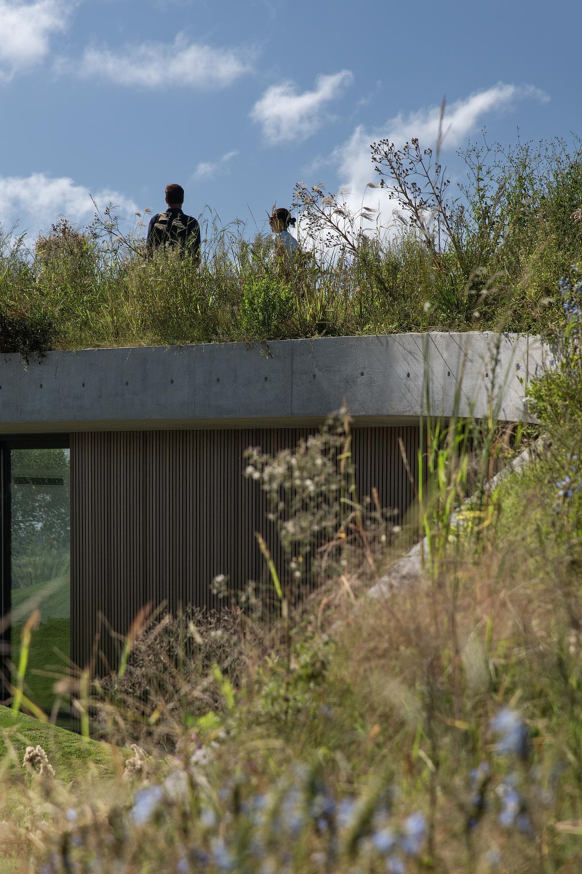 This clubhouse green roof is made up of native plantings that root the building in its context. The plant palette is hardy and low-maintenance, selected to thrive in the region’s climate while offering seasonal variety. As the vegetation matures, the line between roof and garden becomes even blurrier, reinforcing the project's low-impact, land-first philosophy. Where most roofs are treated as leftovers, this one is the centerpiece, a living surface that invites engagement from every angle.