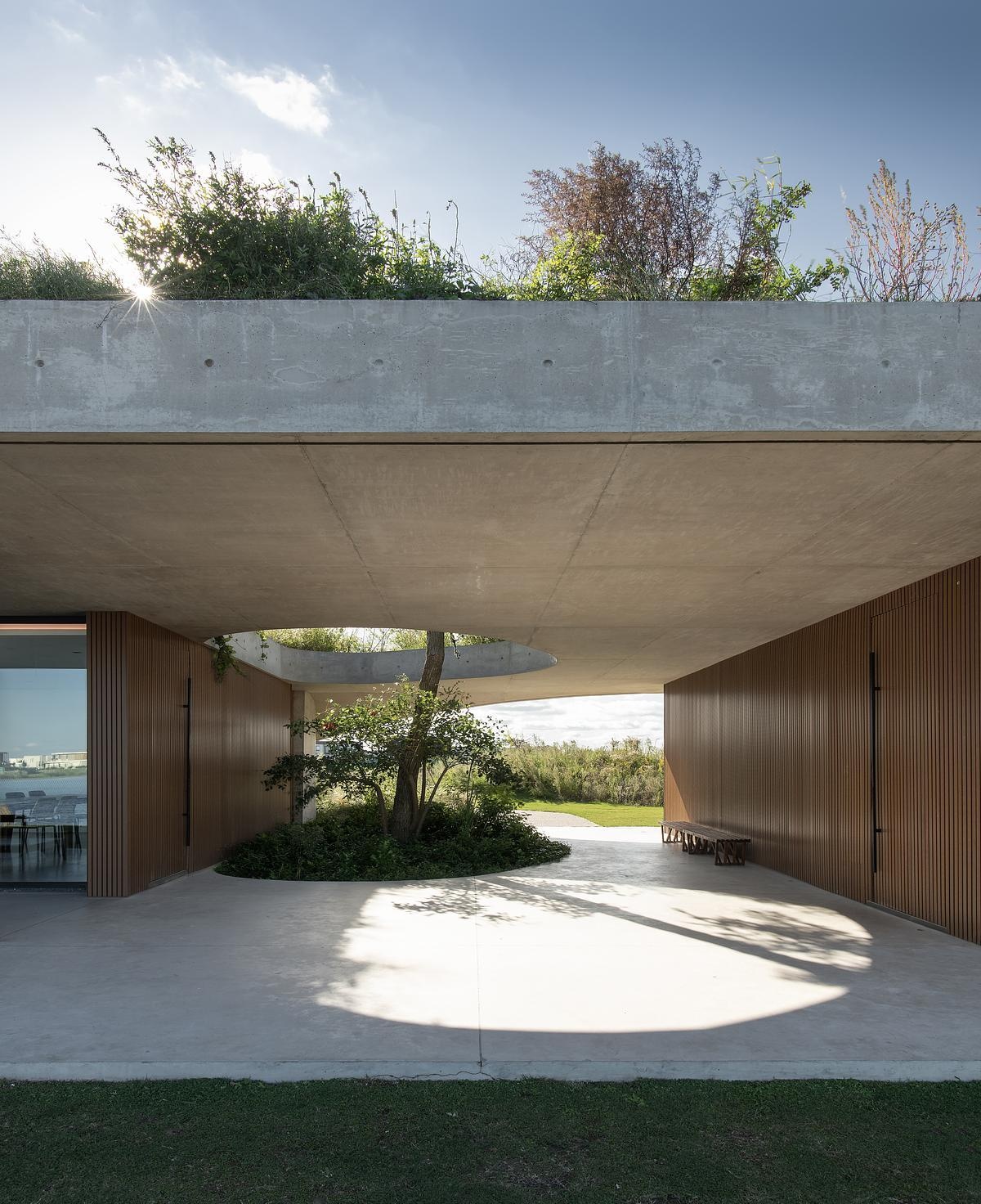 At the center of this clubhouse green roof, a circular opening offers more than just a shaft of light, it cradles a tree from the level below. Growing up through the roof and into the open sky, the tree becomes a living marker of the building’s relationship with nature. It softens the architecture, adds character, and acts as a gentle focal point for the spaces below.