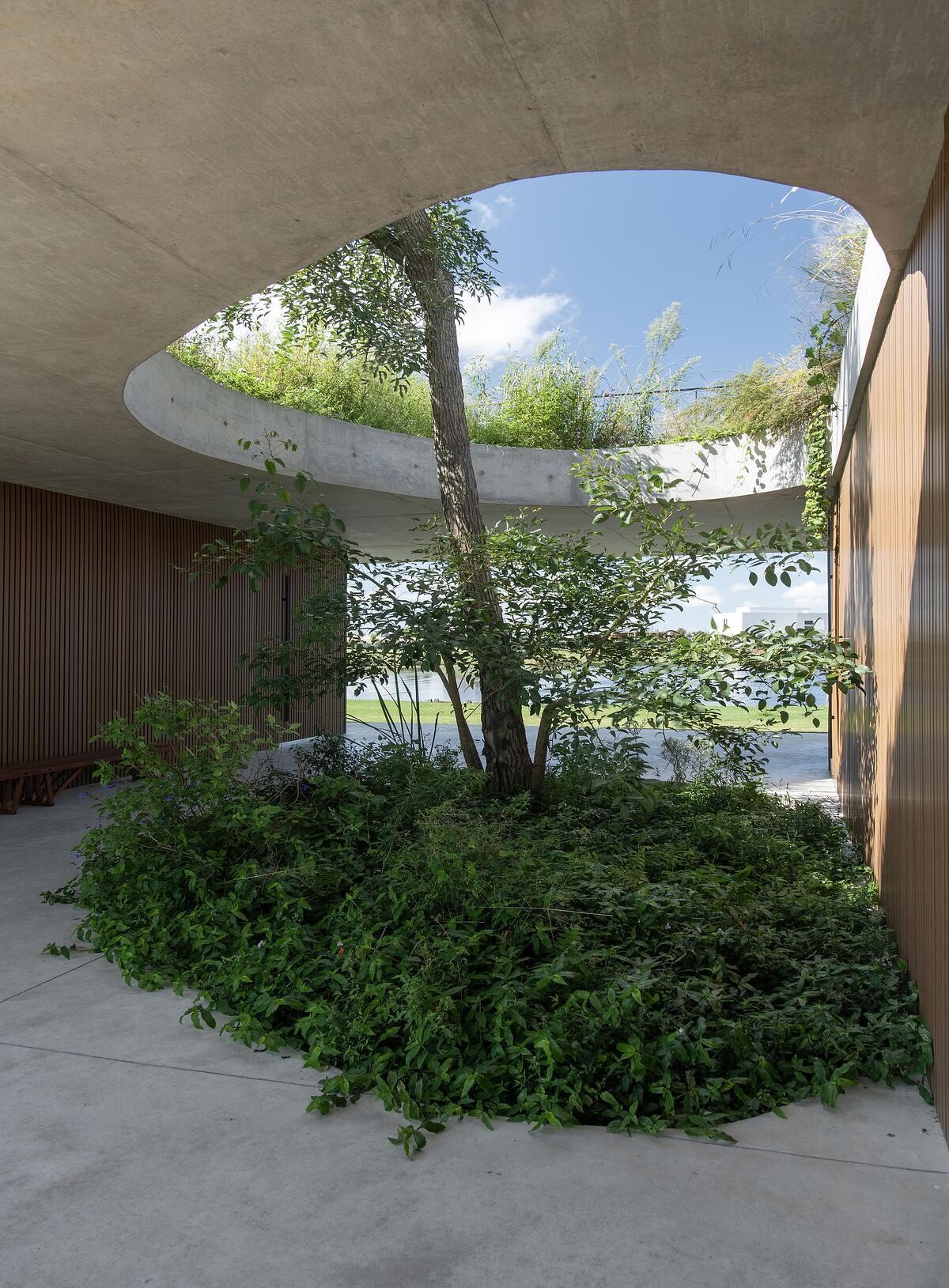 At the center of this clubhouse green roof, a circular opening offers more than just a shaft of light, it cradles a tree from the level below. Growing up through the roof and into the open sky, the tree becomes a living marker of the building’s relationship with nature. It softens the architecture, adds character, and acts as a gentle focal point for the spaces below.