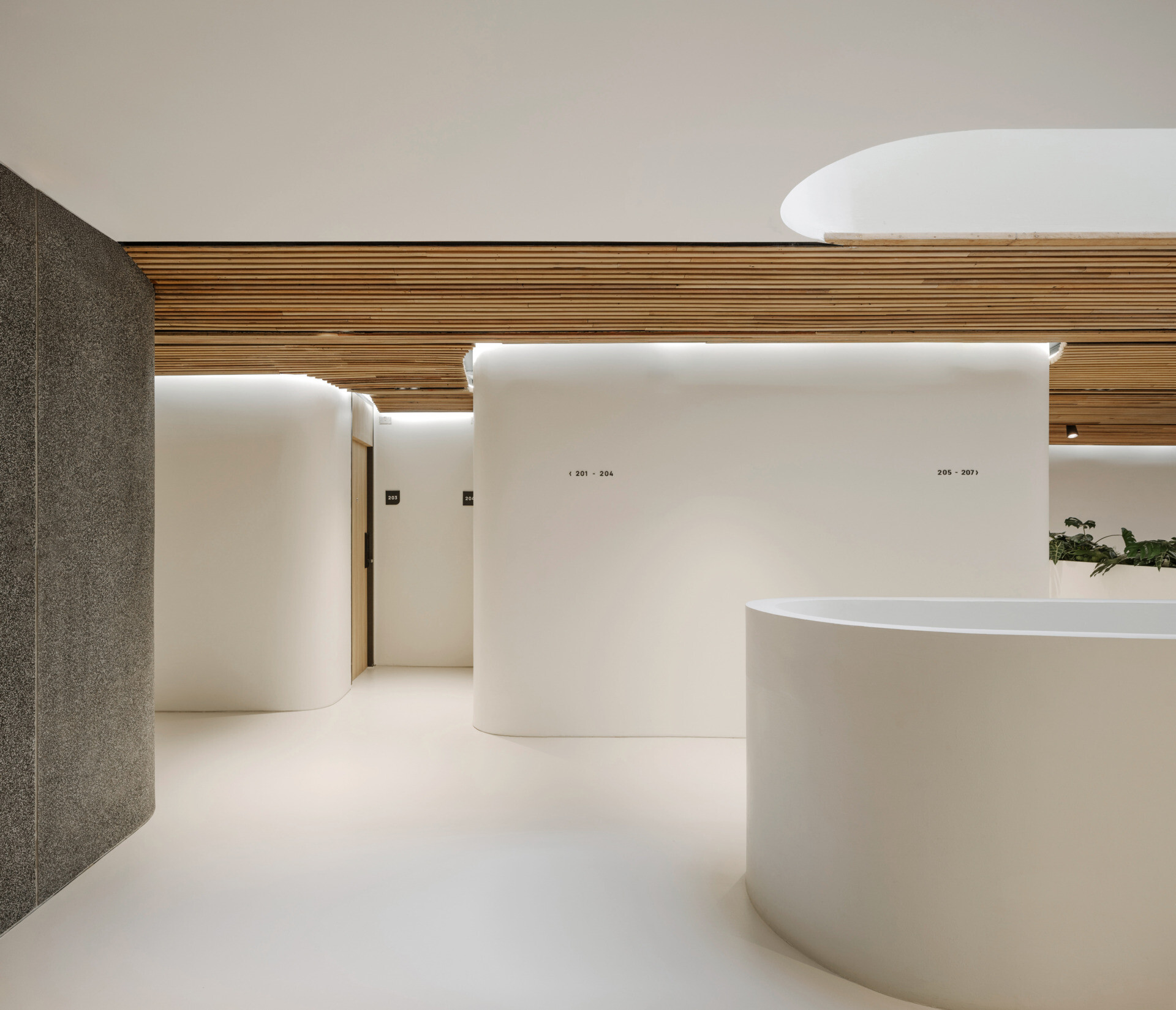 The hallways of this hostel carry through the warm, tactile quality established in the courtyard. Corridors are lined with reclaimed timber ceilings and soft lighting, creating a quiet, cocoon-like transition between public and private spaces.