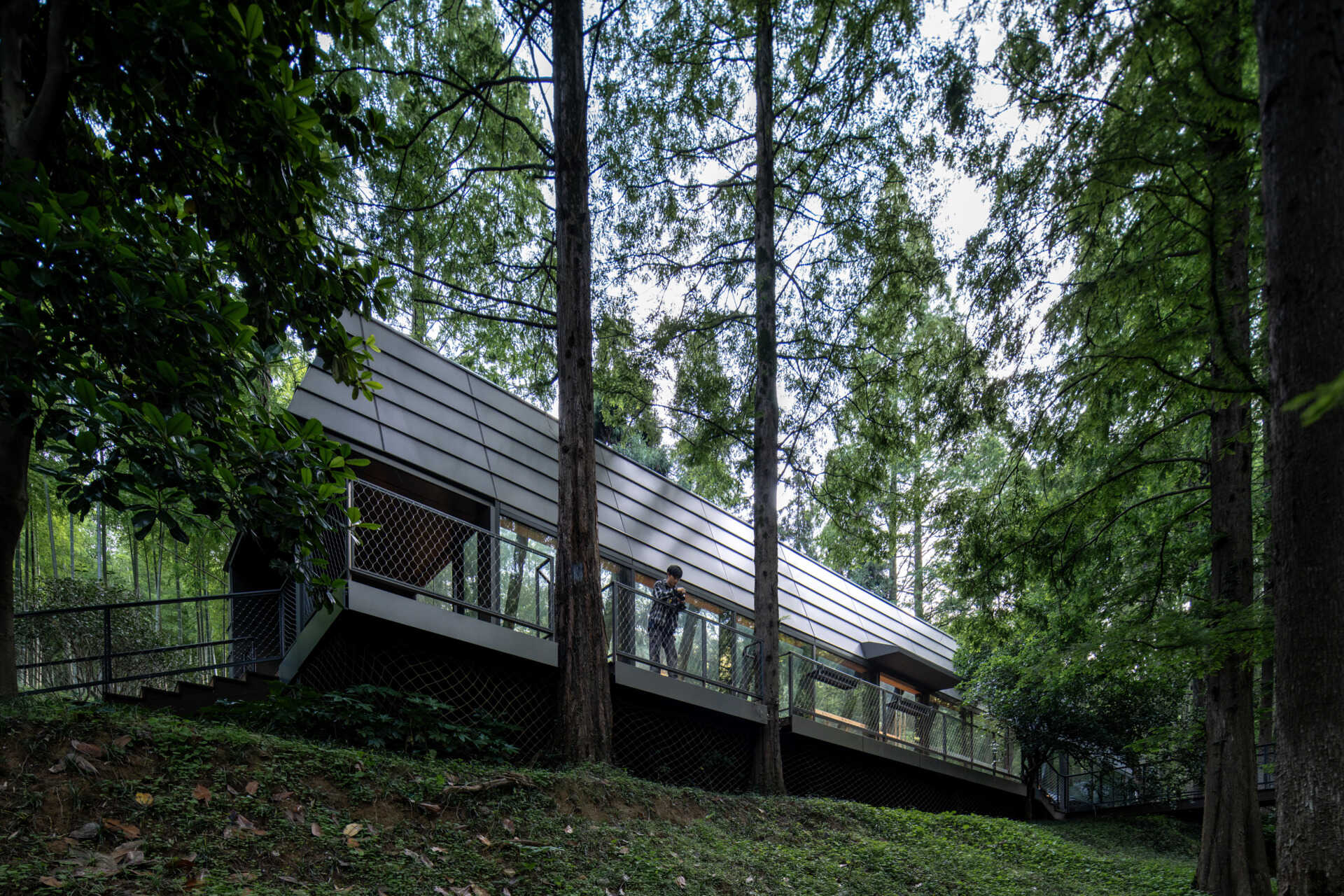 This modern reception space in a Hangzhou forest blurs the line between architecture and nature. Framed forest views and clerestory windows bring light and stillness into a structure shaped by the terrain.