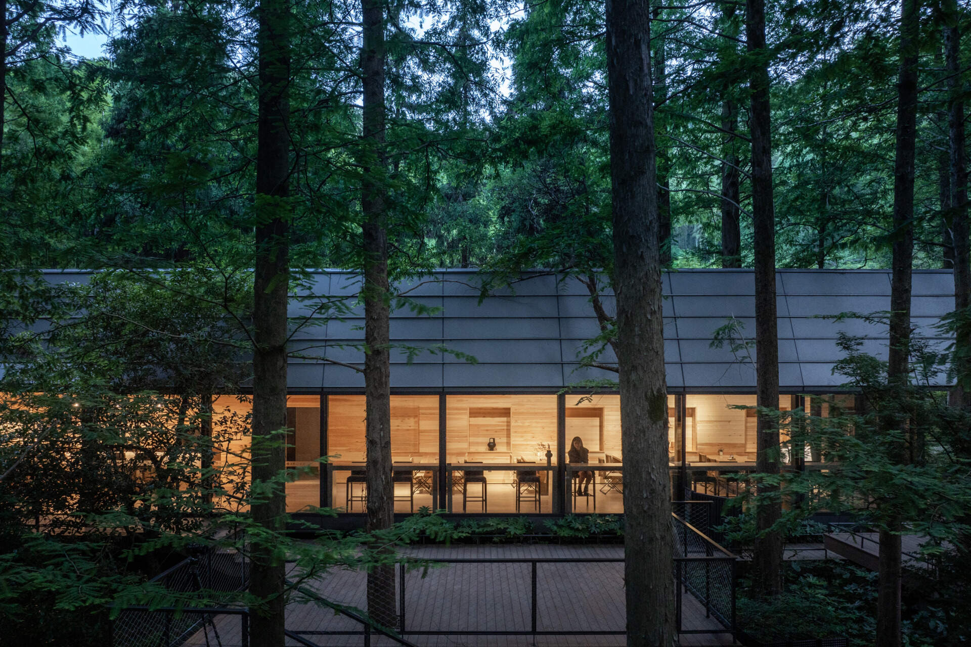 This modern reception space in a Hangzhou forest blurs the line between architecture and nature. Framed forest views and clerestory windows bring light and stillness into a structure shaped by the terrain.