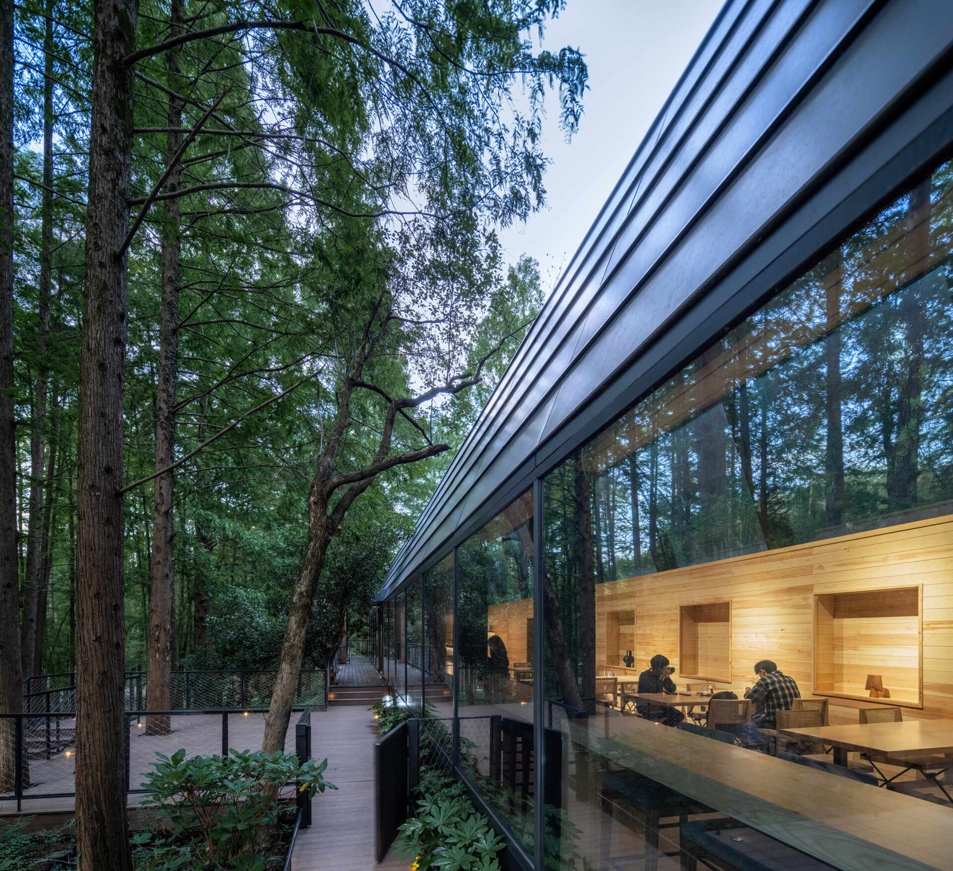 This modern reception space in a Hangzhou forest blurs the line between architecture and nature. Framed forest views and clerestory windows bring light and stillness into a structure shaped by the terrain.