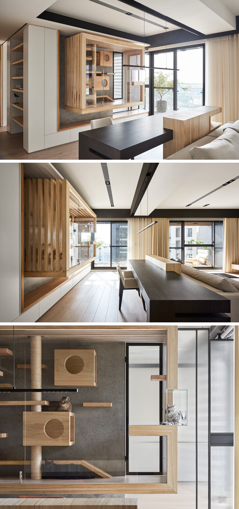 Discover a sleek glass-and-wood cat enclosure suspended to give cats stunning views of the balcony and beyond. This built-in design blends style with function, creating a cozy retreat for feline family members.