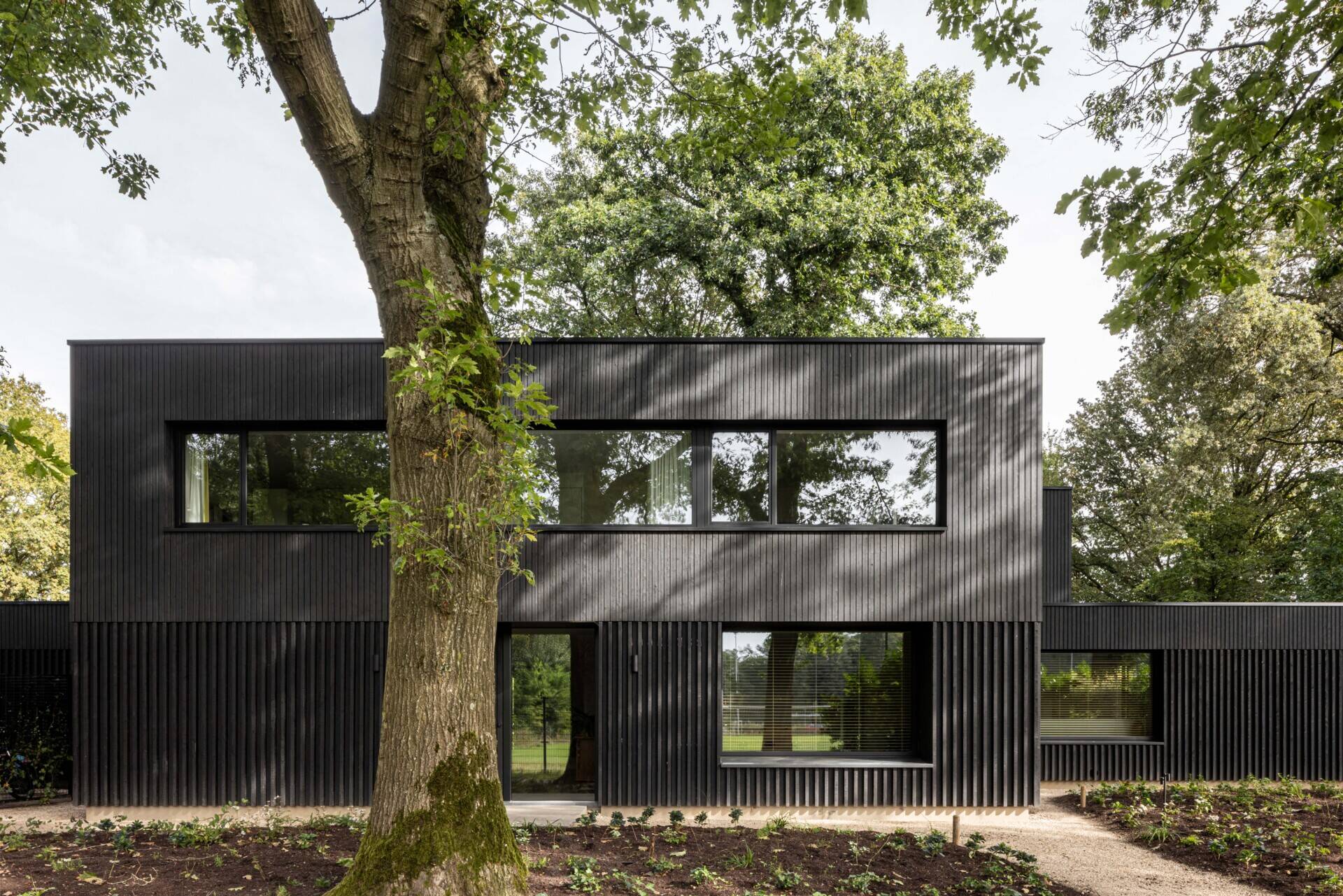 This striking modern home showcases the power of simplicity through its dark wood cladding and clean, rectangular form. Vertical wood slats add texture and rhythm to the facade, while the deep black finish helps the structure blend seamlessly into its natural surroundings. Generously sized windows are thoughtfully positioned to capture views of the landscape and invite daylight into the interior, all while maintaining the home’s strong architectural lines. 