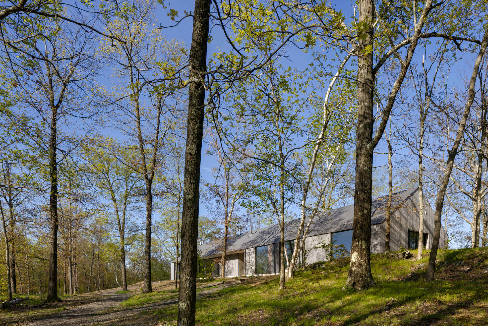 Ridge House blends clean gabled architecture with corrugated metal and board-formed concrete, creating a striking yet natural presence that weathers gracefully within its wooded ridgeline setting.