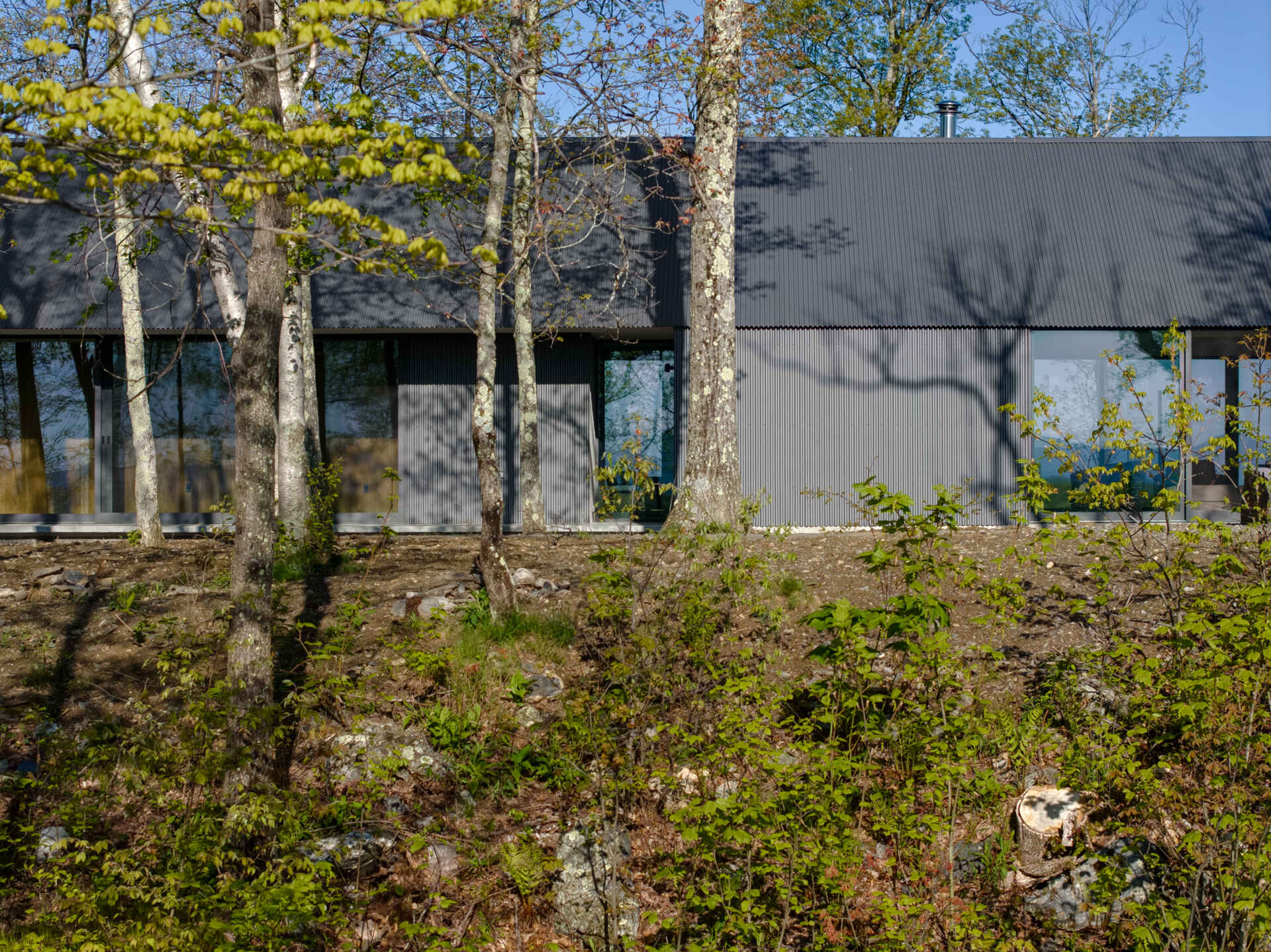 Ridge House blends clean gabled architecture with corrugated metal and board-formed concrete, creating a striking yet natural presence that weathers gracefully within its wooded ridgeline setting.