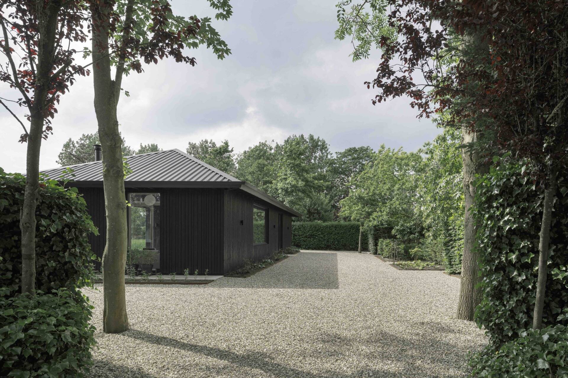 A modern and compact home with black waxed-wood cladding and extended rooflines.