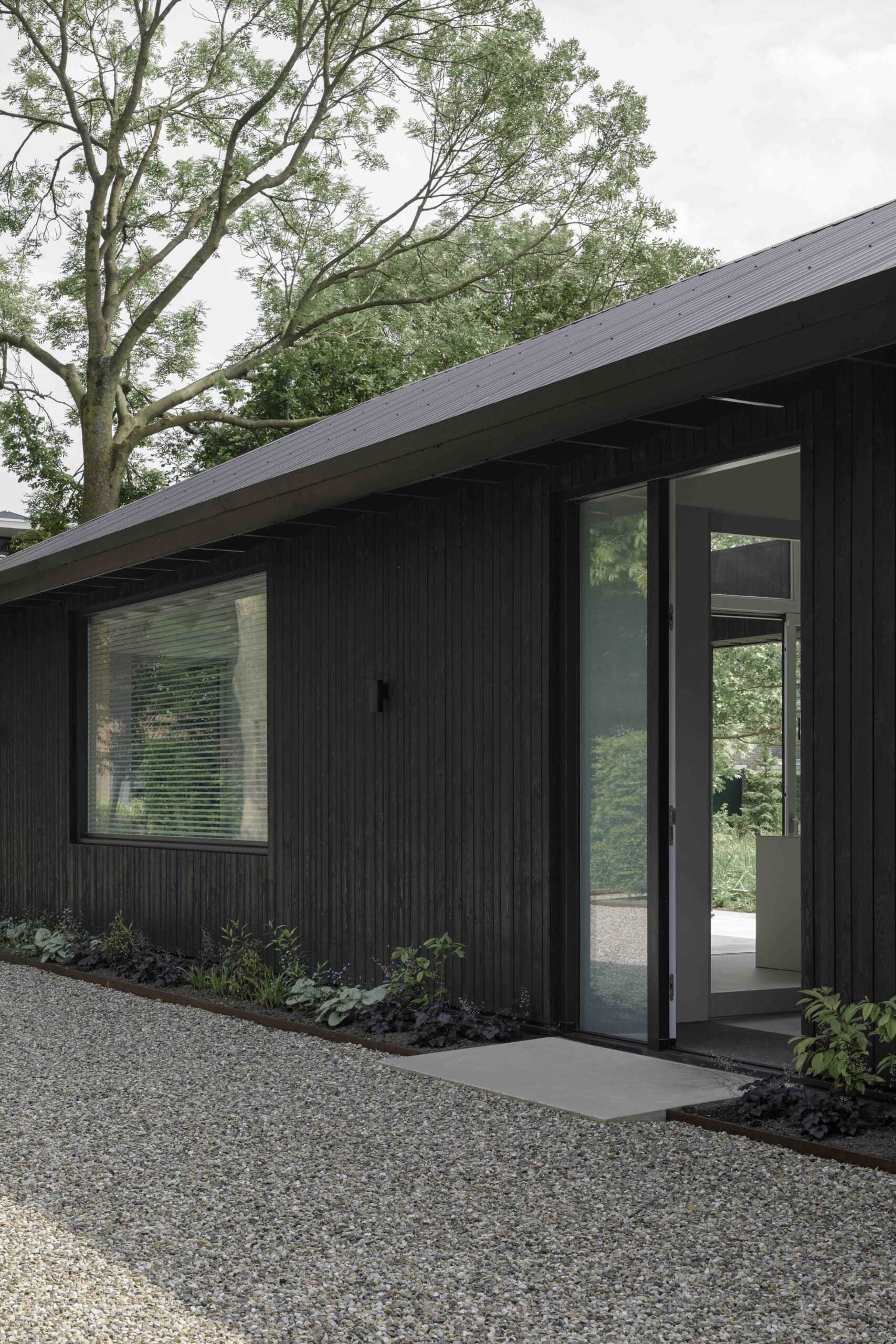 A modern and compact home with black waxed-wood cladding and extended rooflines.