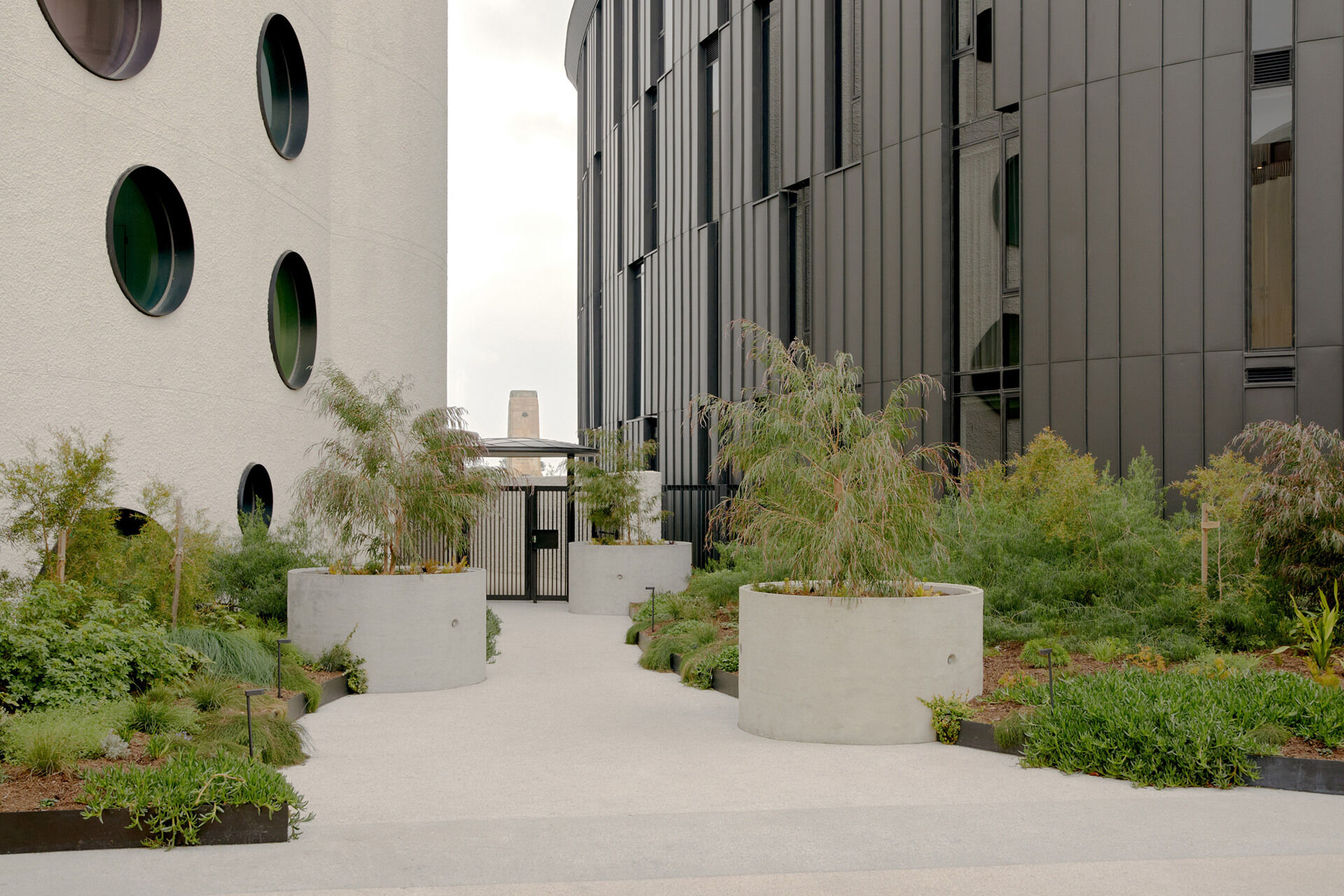 A lush native garden runs through the site, creating a green spine that links all four pavilions, softens the architecture, and connects residents to the coastal setting.