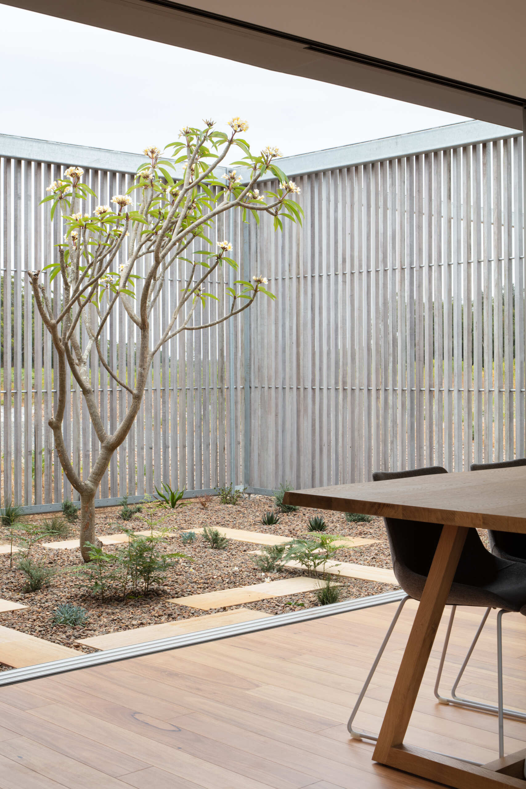 Pale wood slat fencing wraps the courtyard in a soft rhythm of vertical lines, offering privacy without blocking the light. A single tree reaches upward with graceful, sculptural limbs and fresh blossoms, adding just the right touch of life and color against the silvery backdrop. Below, a grid of sandstone pavers weaves through beds of pebbles and hardy greenery, creating a peaceful, low-maintenance oasis.