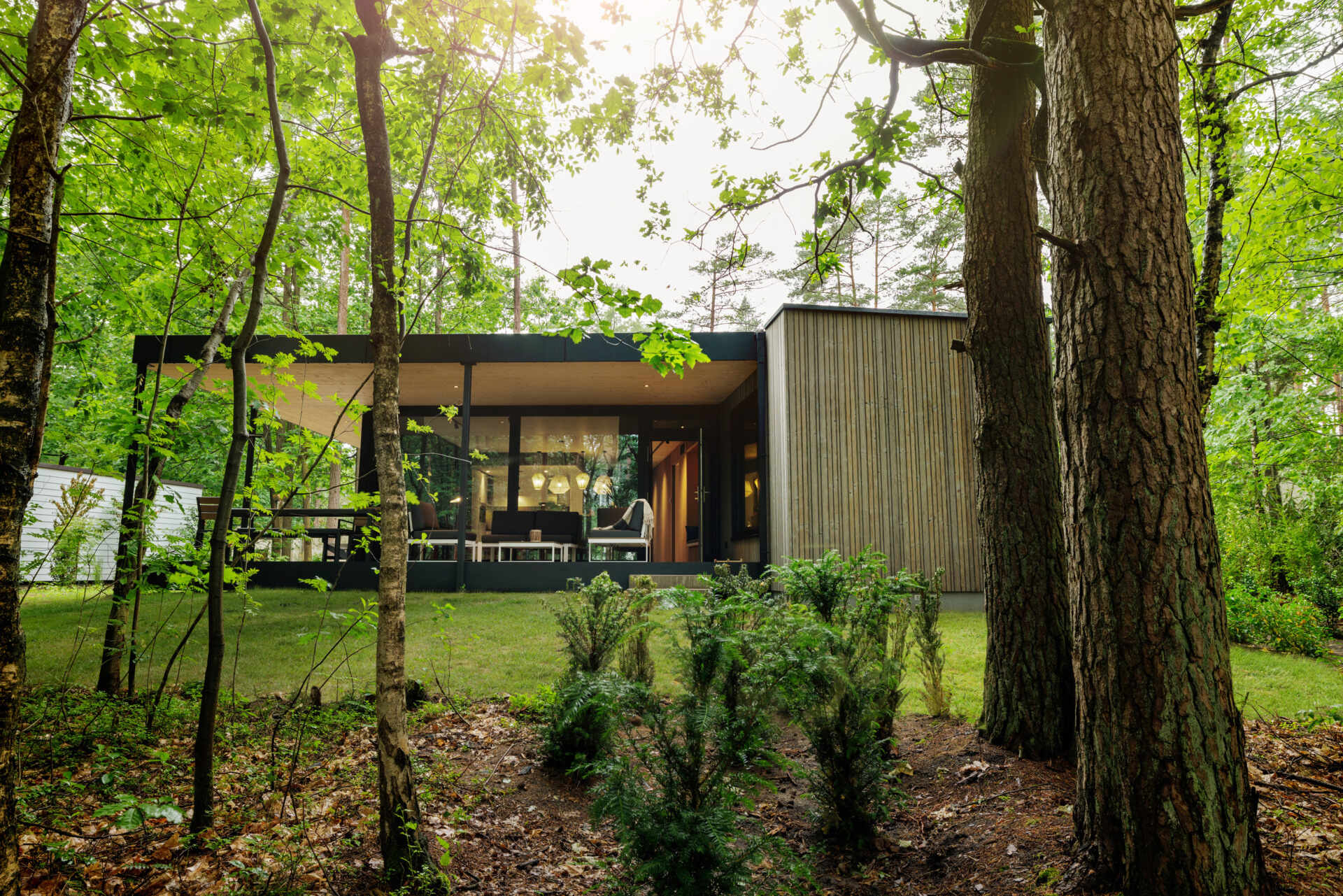 Step inside a modern prefab cottage where minimalist design and natural materials create a serene forest escape.