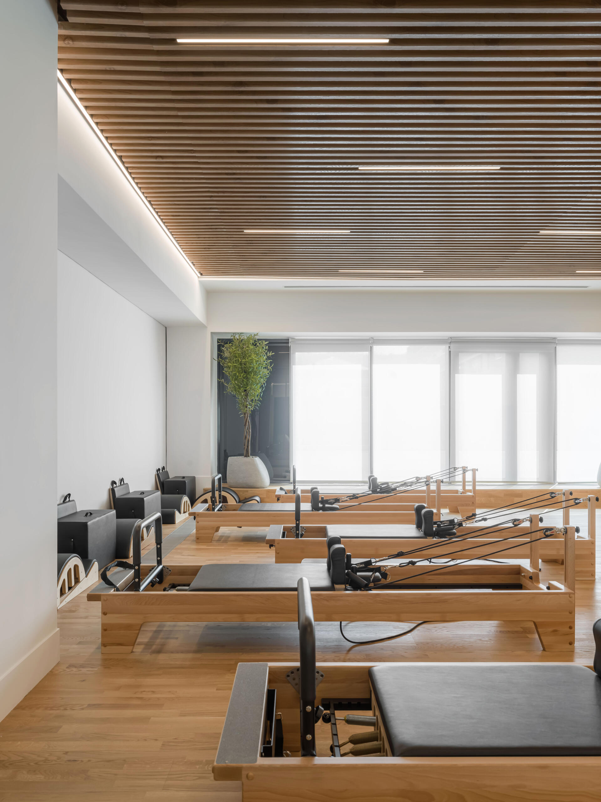 The second floor of SIAM SPA takes on a more minimalist mood with smooth grey walls, veined wood accents, and lush greenery. Custom wooden fitness equipment blends beauty with function, offering a serene environment for stretching, strength, and movement.