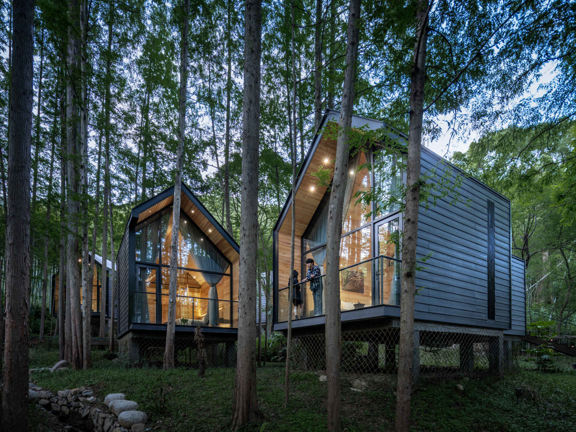 Elevated among tall trees, these stilted wooden cottages offer an immersive canopy stay. Timber interiors bring guests closer to forest light, air, and sound.