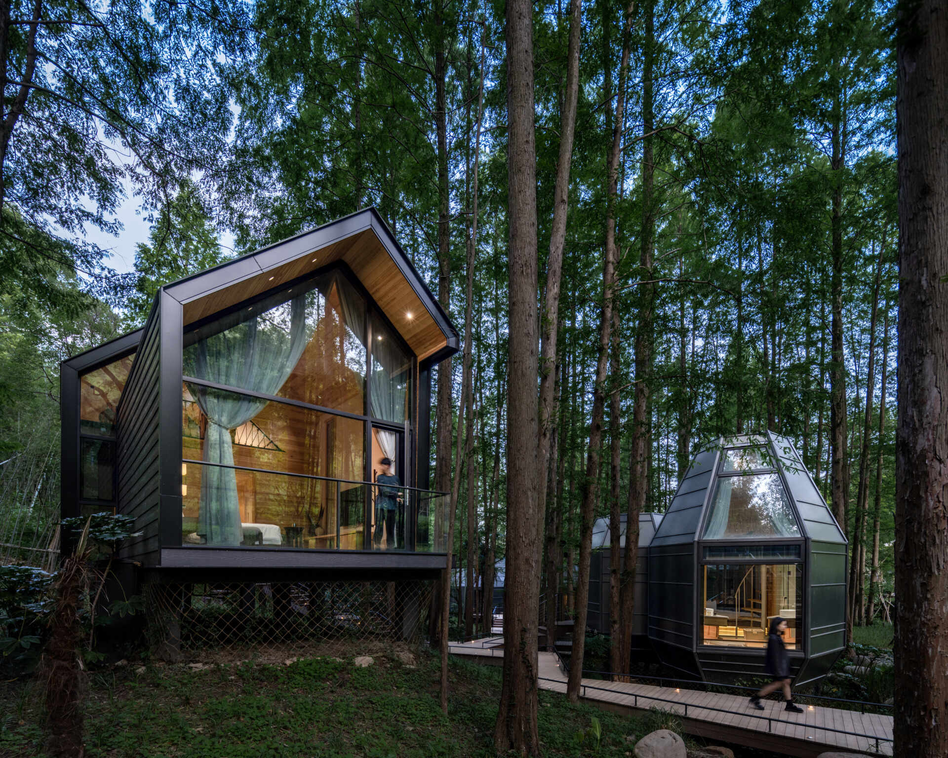 Elevated among tall trees, these stilted wooden cottages offer an immersive canopy stay. Timber interiors bring guests closer to forest light, air, and sound.