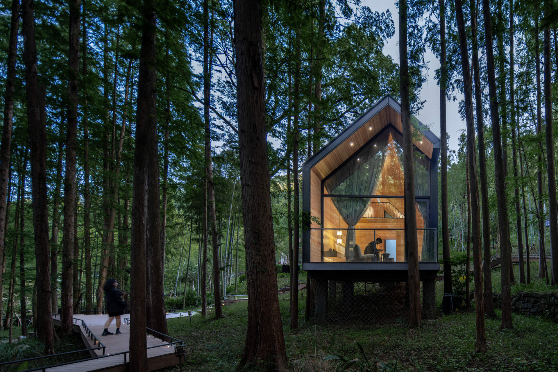 Elevated among tall trees, these stilted wooden cottages offer an immersive canopy stay. Timber interiors bring guests closer to forest light, air, and sound.