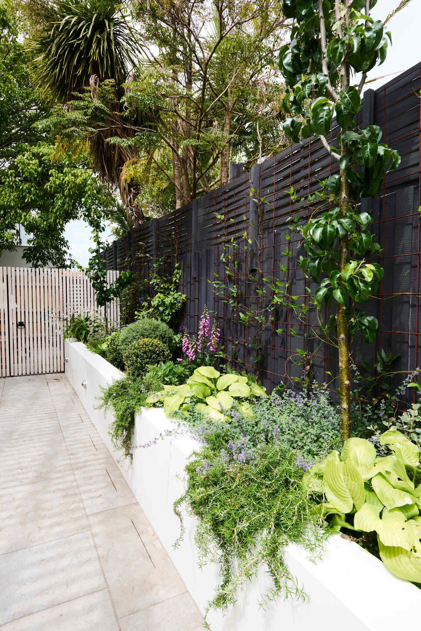This tranquil alfresco area transforms a former garage wall into a cozy garden retreat. Layered planting, a timber pergola, and a built-in BBQ make it perfect for relaxing or entertaining outdoors.