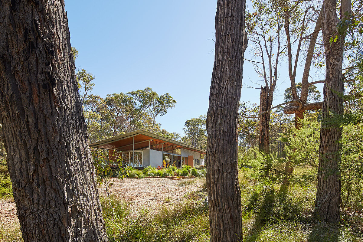 A bushland pavilion with exposed steel frames, rammed earth walls, and a single sweeping roof, inspired by mid-century modern design.