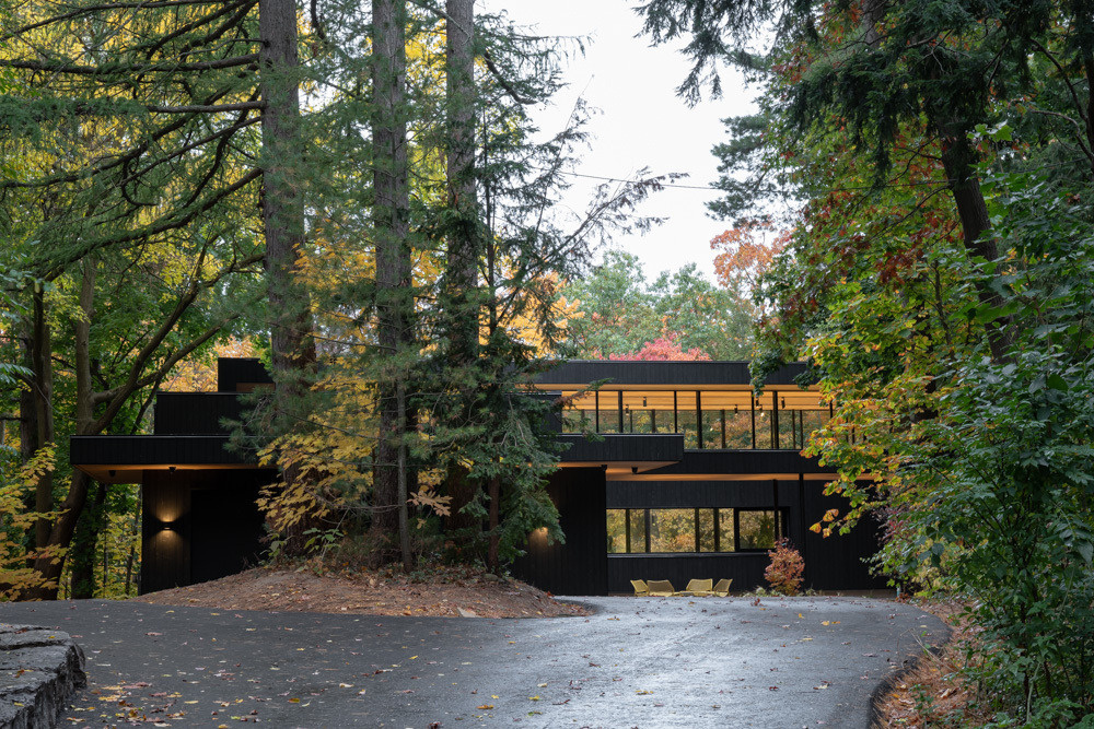 A mid-century bungalow reimagined with soaring ceilings, open spaces, and deep ties to the ravine landscape.