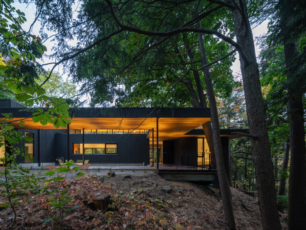 A mid-century bungalow reimagined with soaring ceilings, open spaces, and deep ties to the ravine landscape.