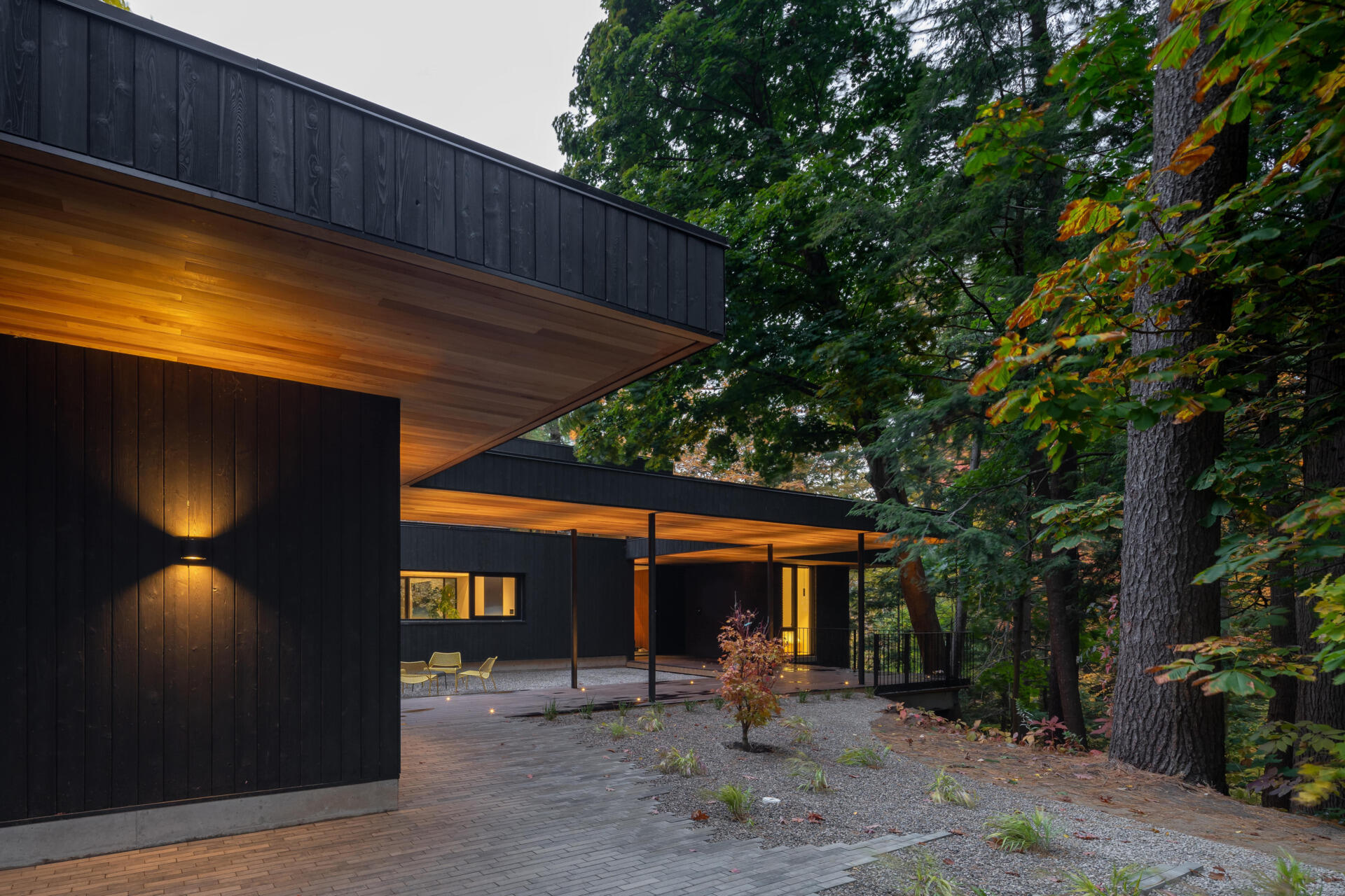 A mid-century bungalow reimagined with soaring ceilings, open spaces, and deep ties to the ravine landscape.
